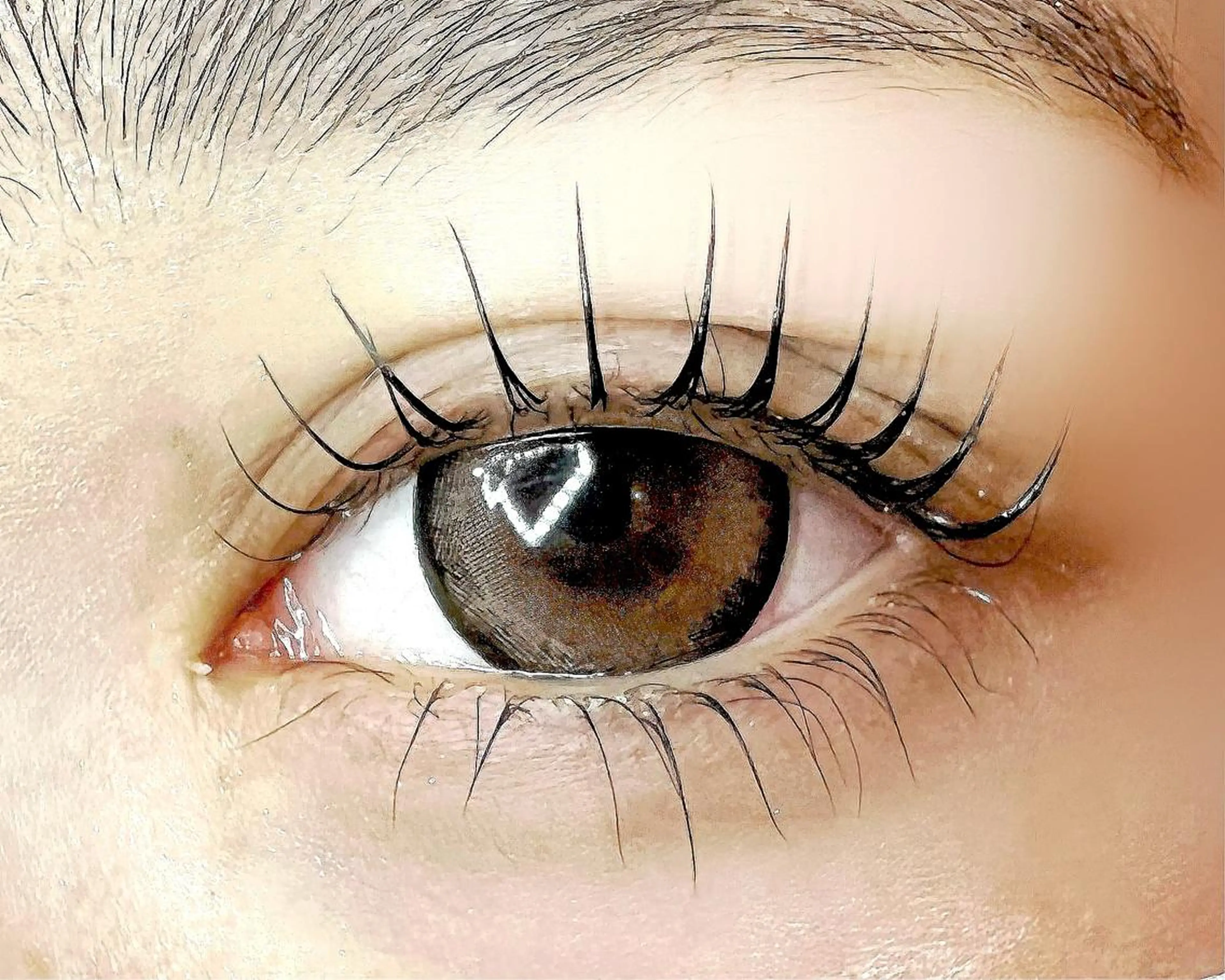 ✨️ラッシュリフト上下7500円の写真