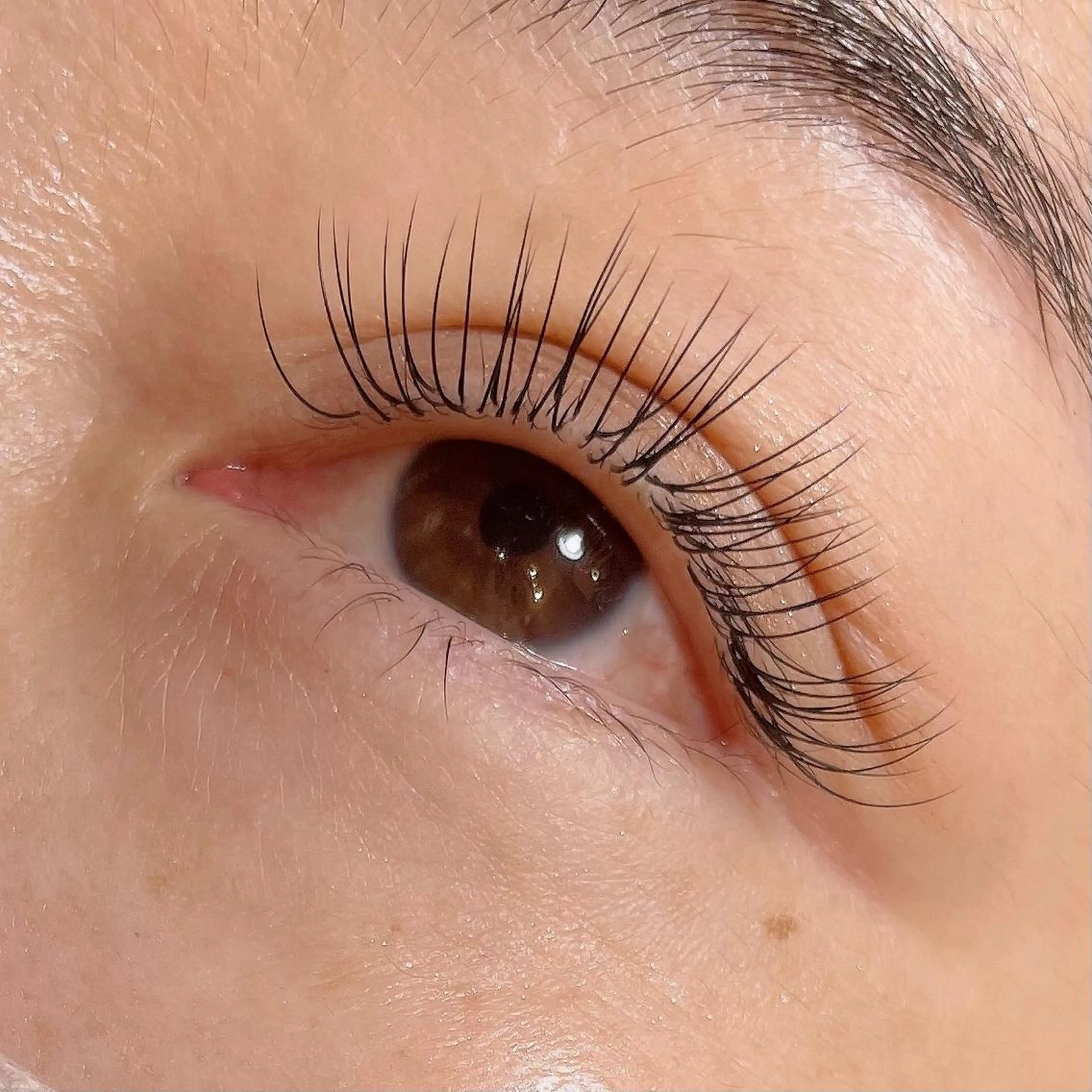 マツエク・マツパ Cカール キュート Dカール Jカール 玉木 愛の眉毛・アイブロウイメージ