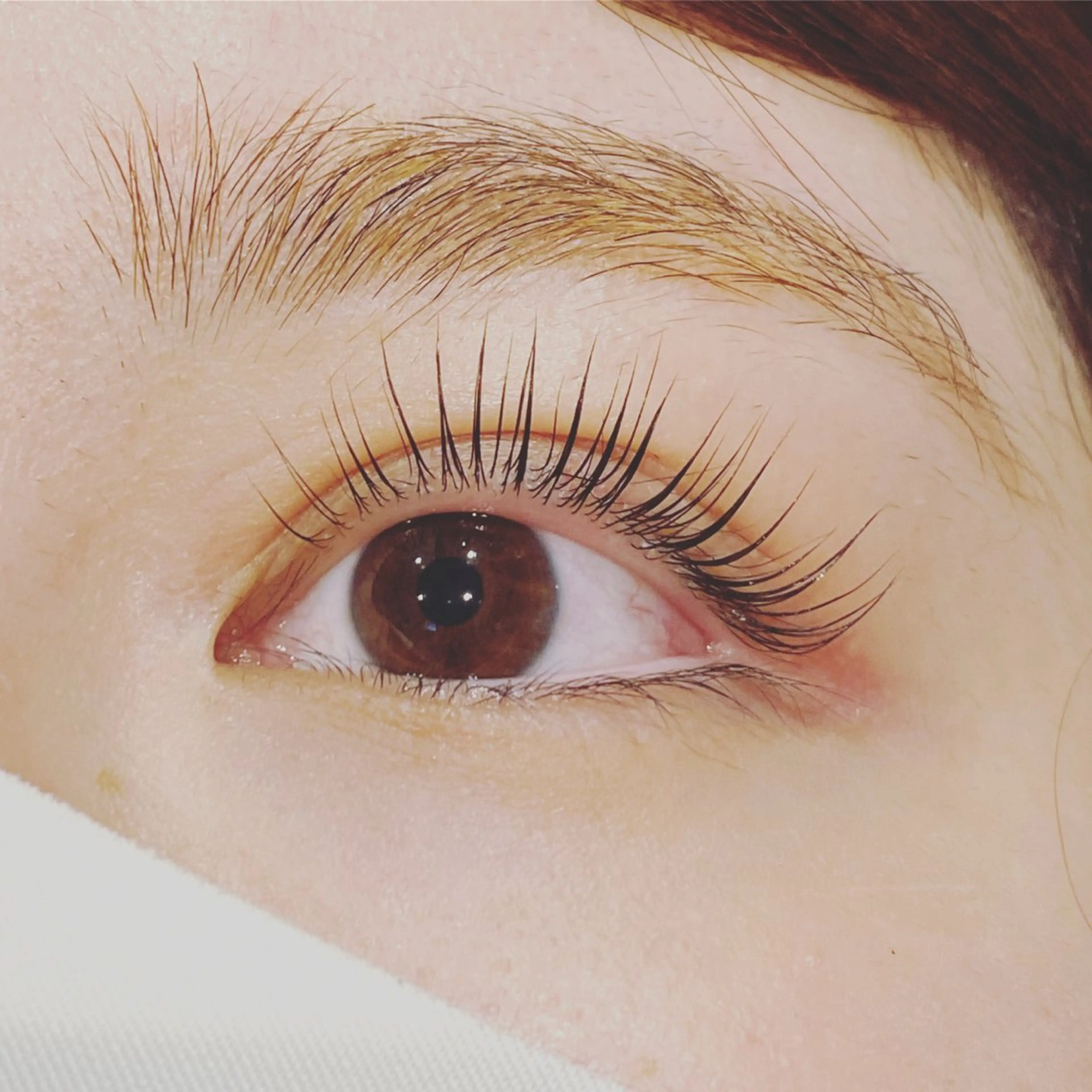 マツエク・マツパ パリジェンヌラッシュリフト EYE CHARMANTのマツエク・マツパデザイン