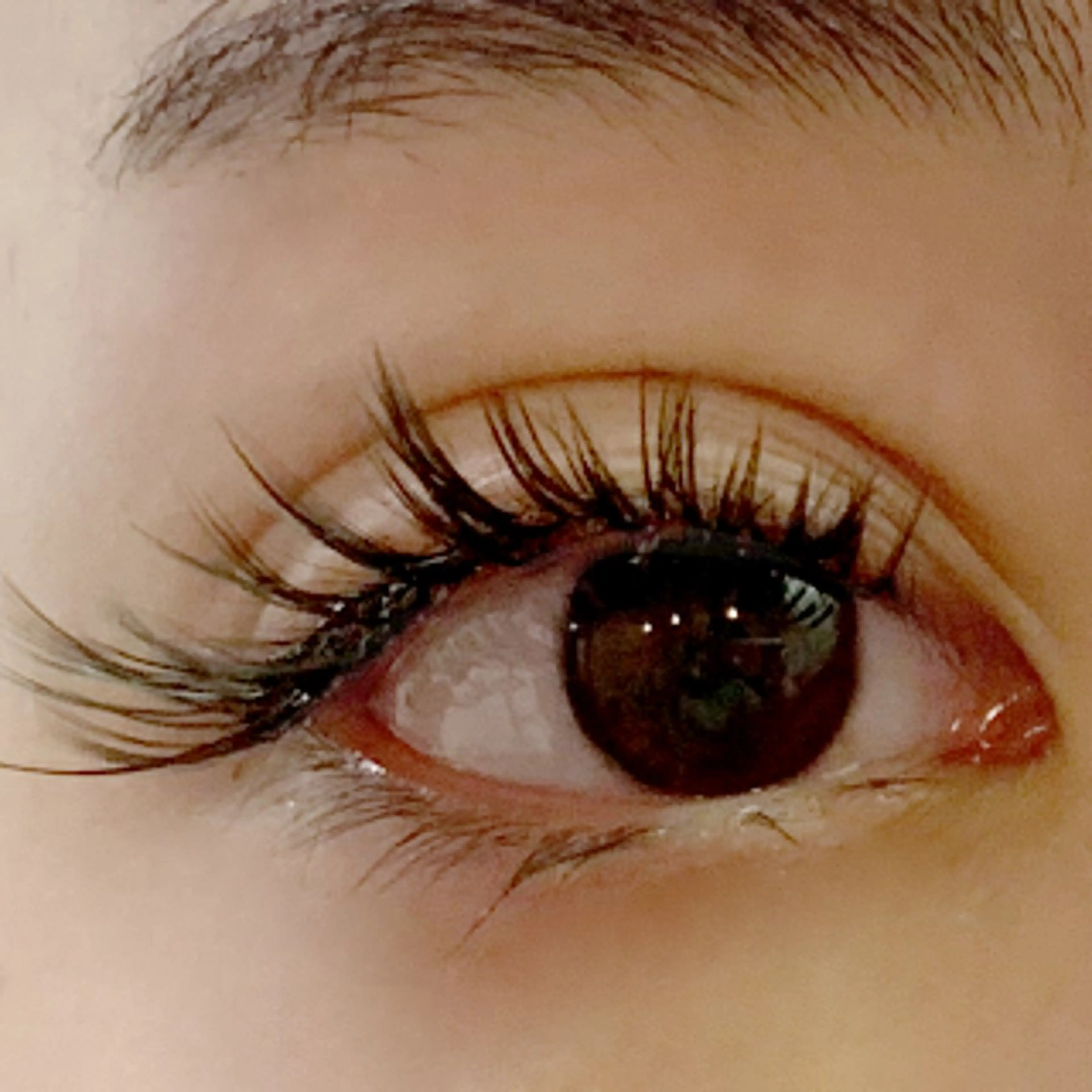 上野店1週年記念メニュー、Lカール0.15（9mm~15mm） 120本(上のみ)コーティング仕上げ］オフ初回無料の写真