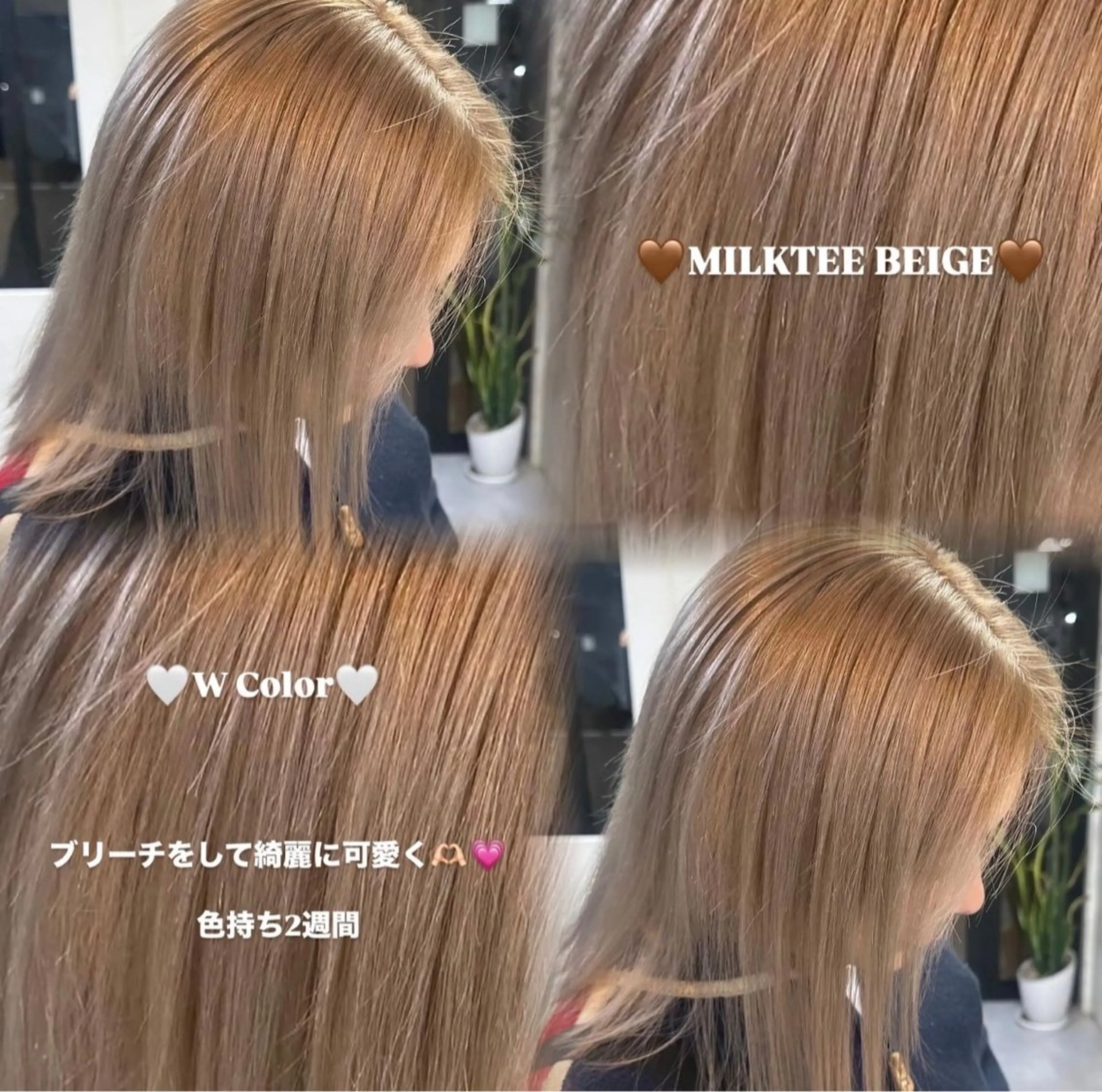 カラー ベージュカラー 田中 友紀乃 /D.Graceのヘアスタイル