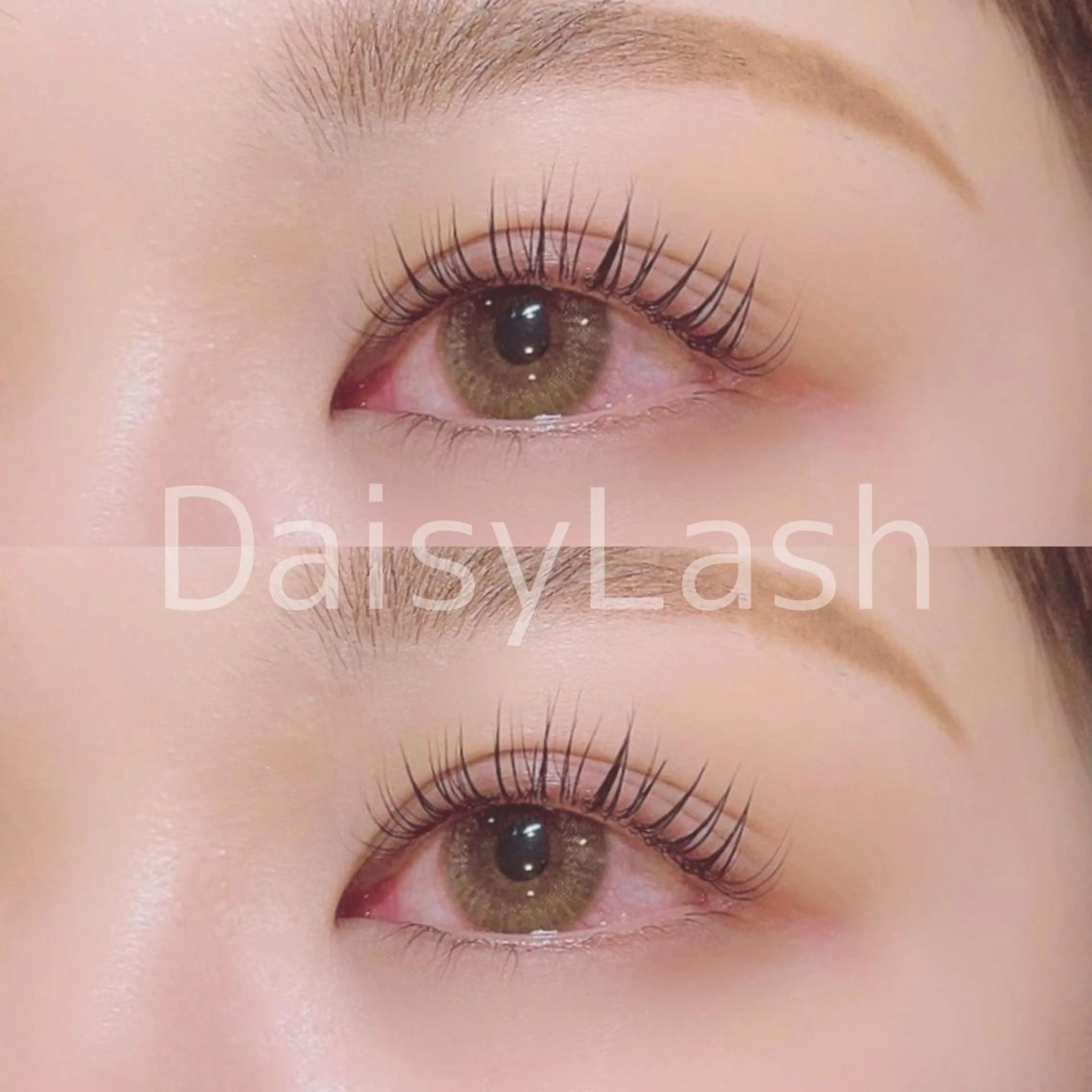 マツエク・マツパ DaisyLash 京橋店のマツエク・マツパデザイン