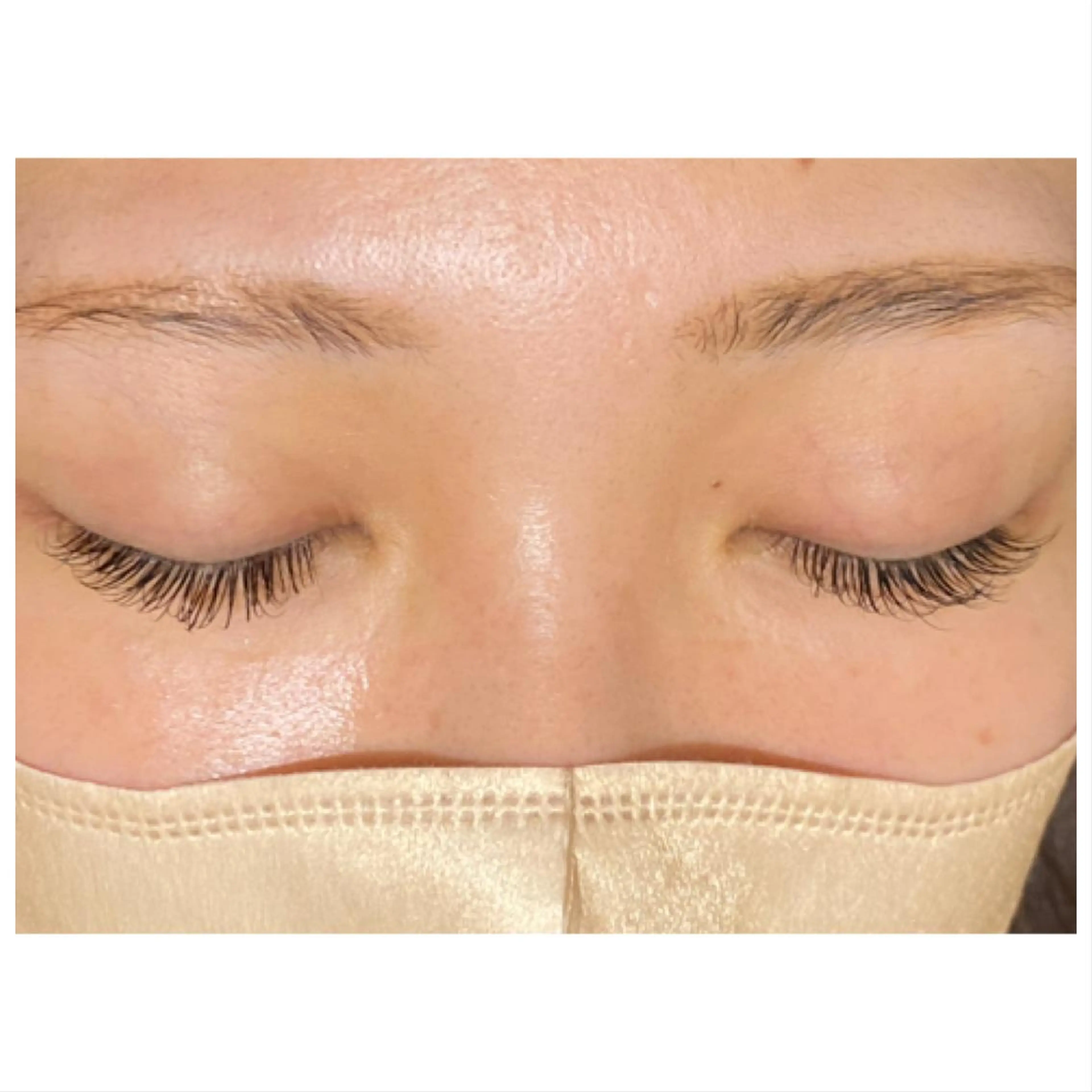 マツエク・マツパ Cカール キュート フラットラッシュ Maison de miyuのマツエク・マツパデザイン