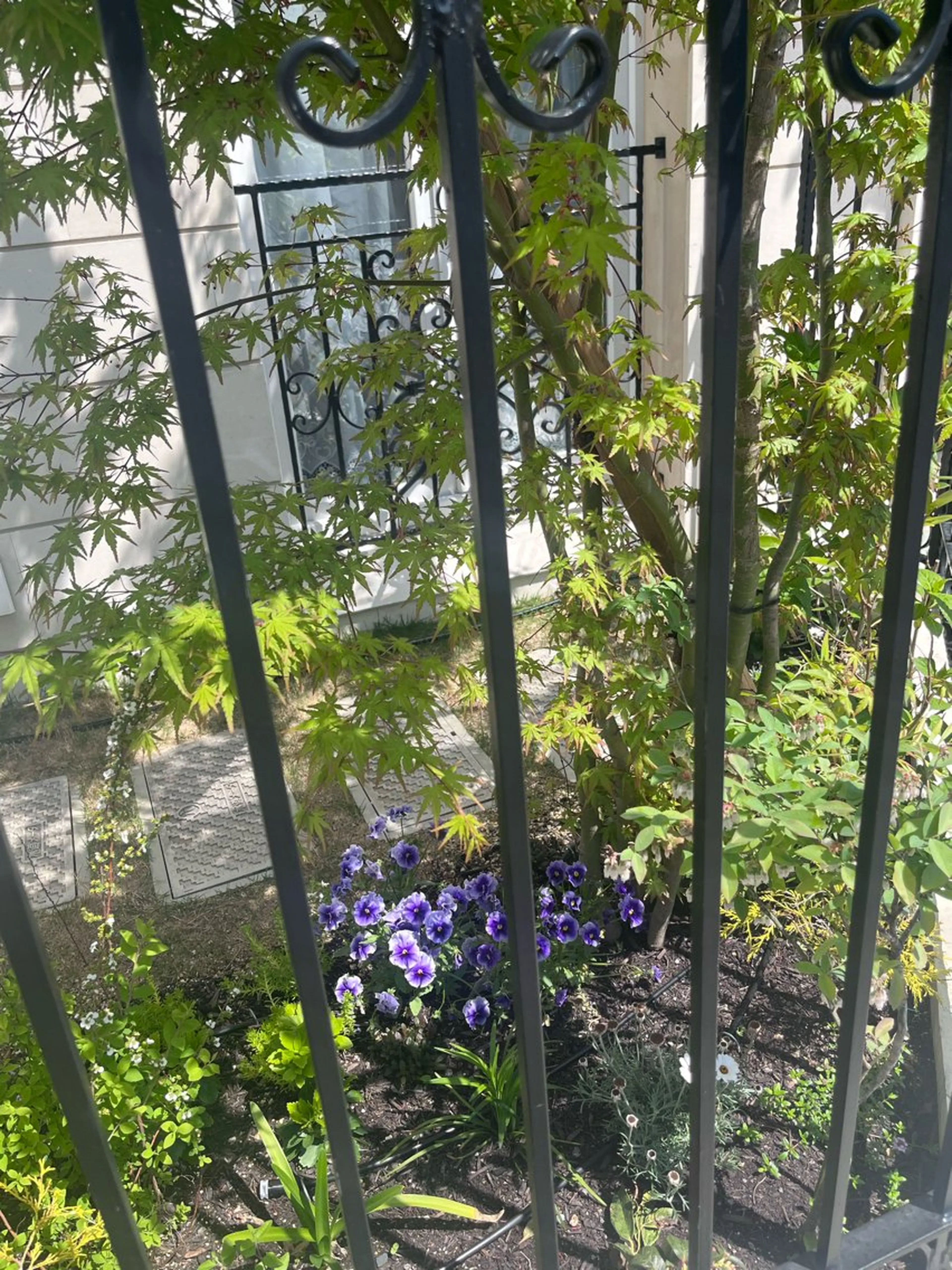 SACHIKO Yのエステ・リラクイメージ