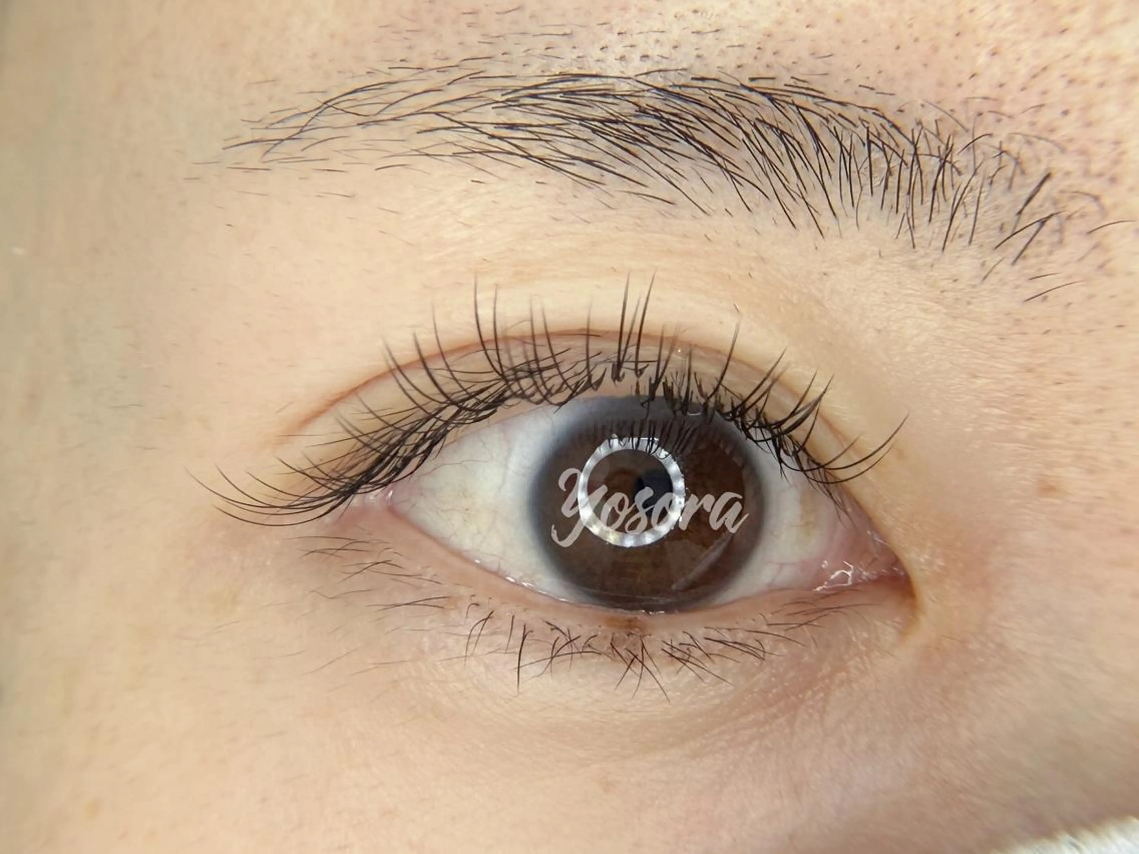 マツエク・マツパ フラットラッシュ マツエク Yosora salonのマツエク・マツパデザイン