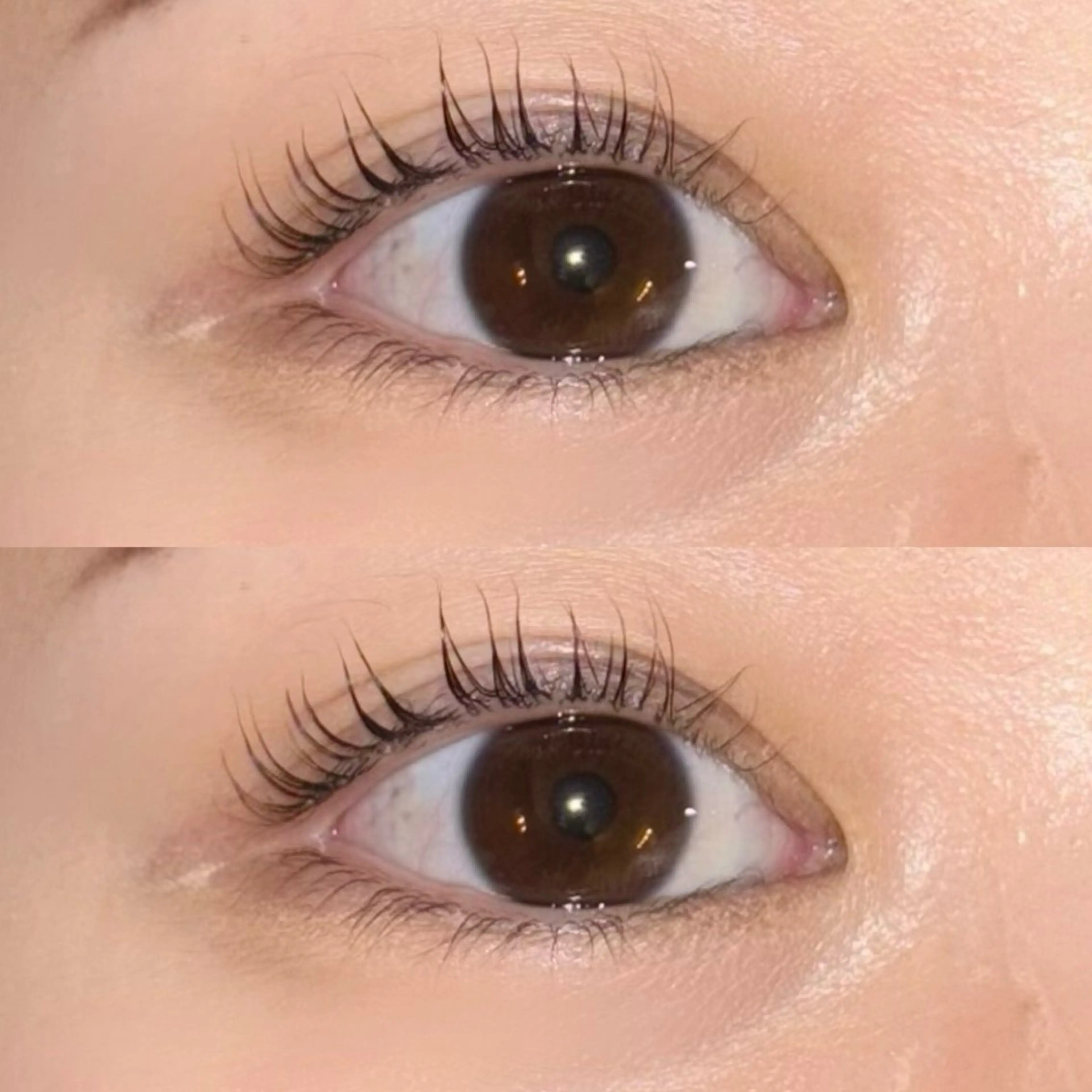 マツエク・マツパ 一重×まつ毛パーマ 🍇chinatsu 🍇en Rêveのマツエク・マツパデザイン