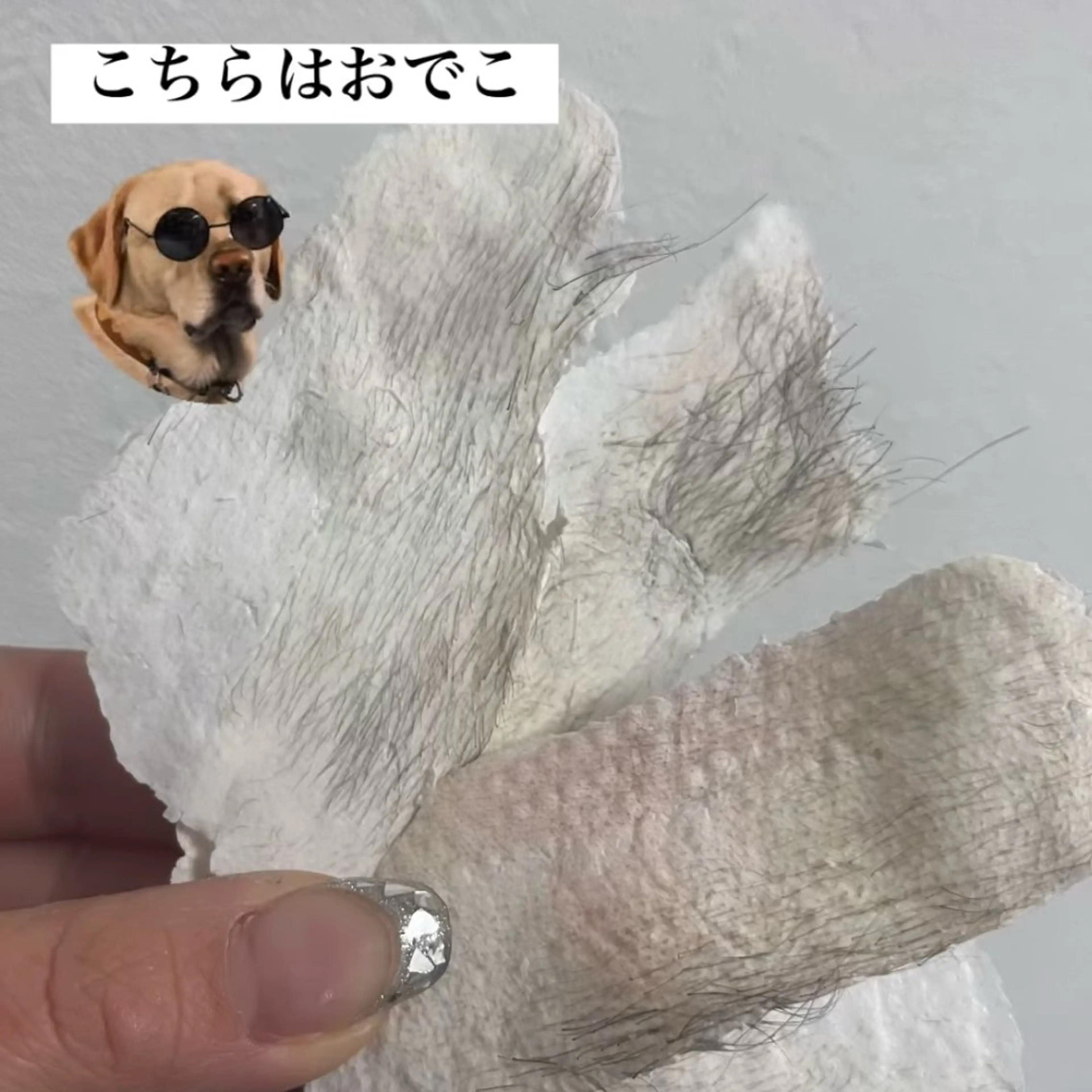 ローズフォーライフ YUMIの眉毛・アイブロウイメージ