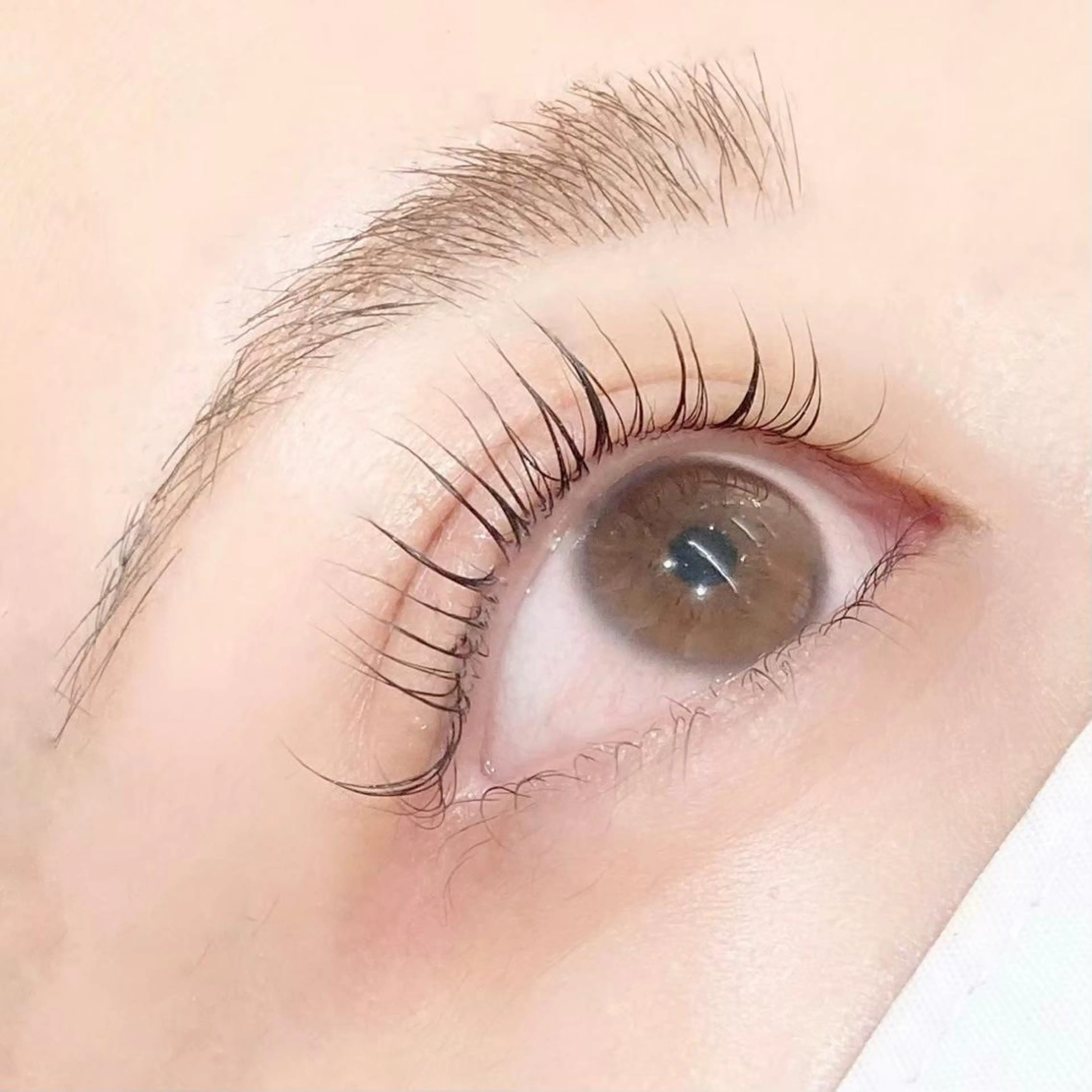 マツエク・マツパ 一重×まつ毛パーマ 白潟 (シラガタ)の眉毛・アイブロウイメージ