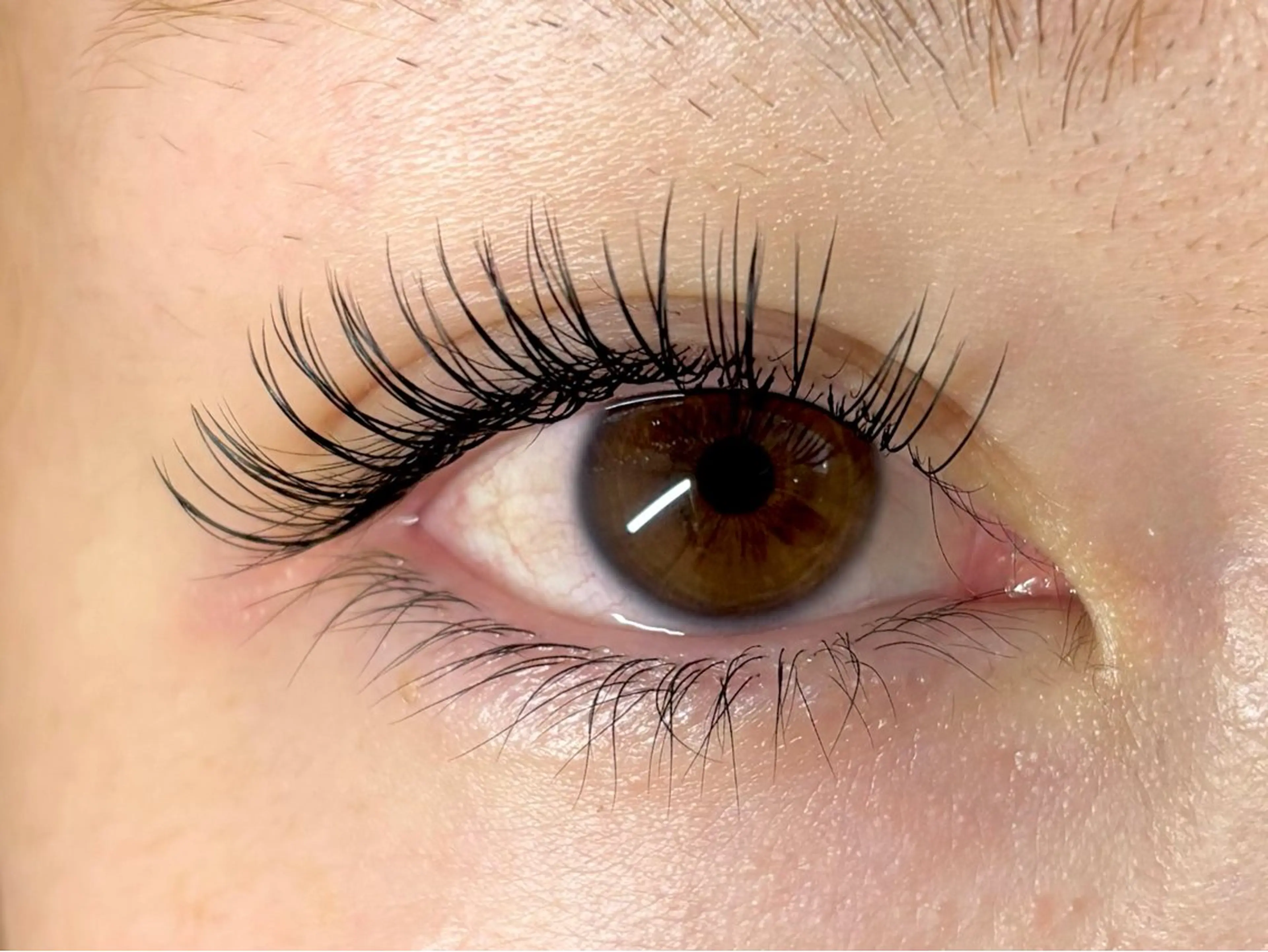 マツエク・マツパ Cカール フラットラッシュ マツエク アイラッシュサロン【エフドゥ】所属・中村彩香 (エフドゥ)のマツエク・マツパデザイン