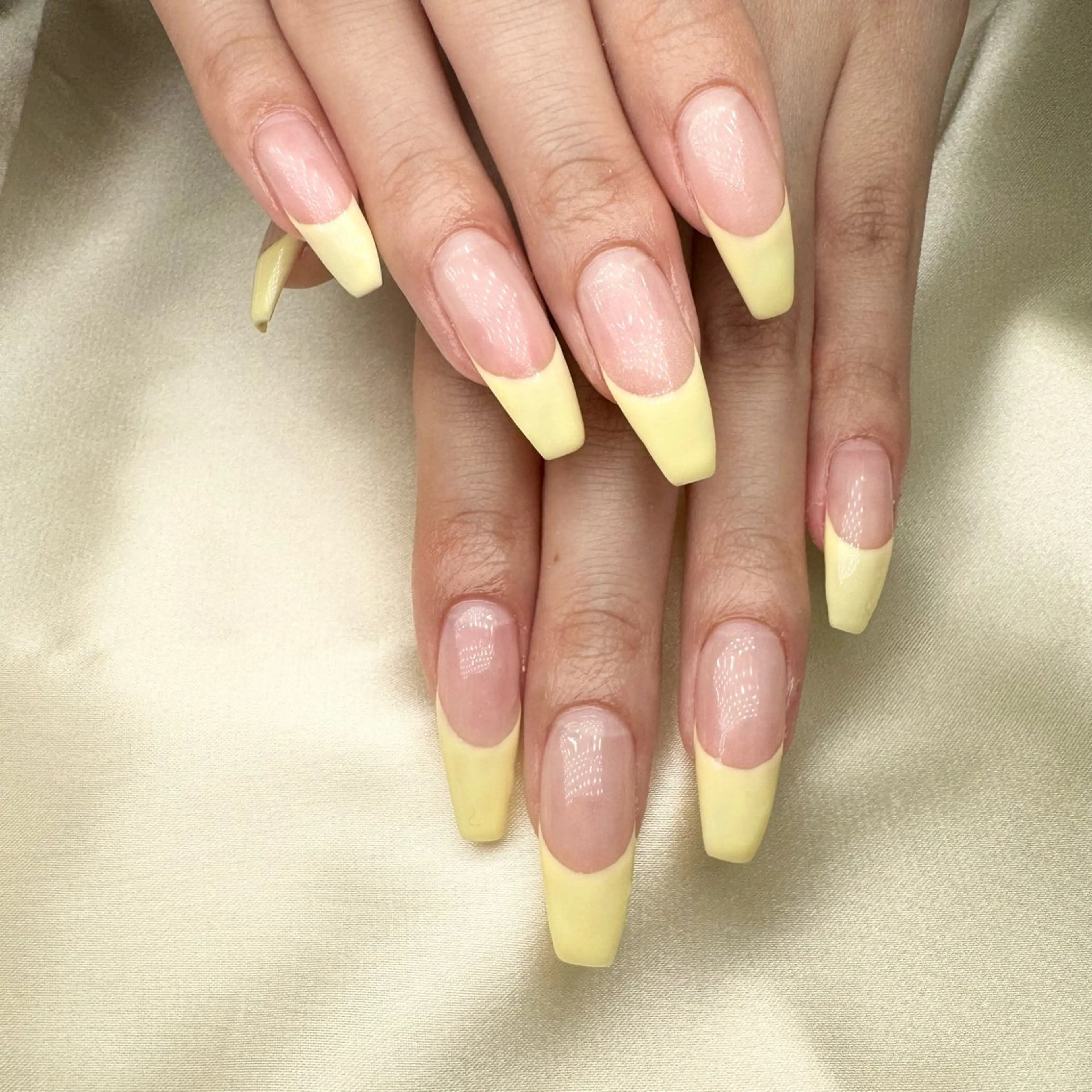 【モデル価格】バーチャルフレンチコース🫧🧸￥1980の写真