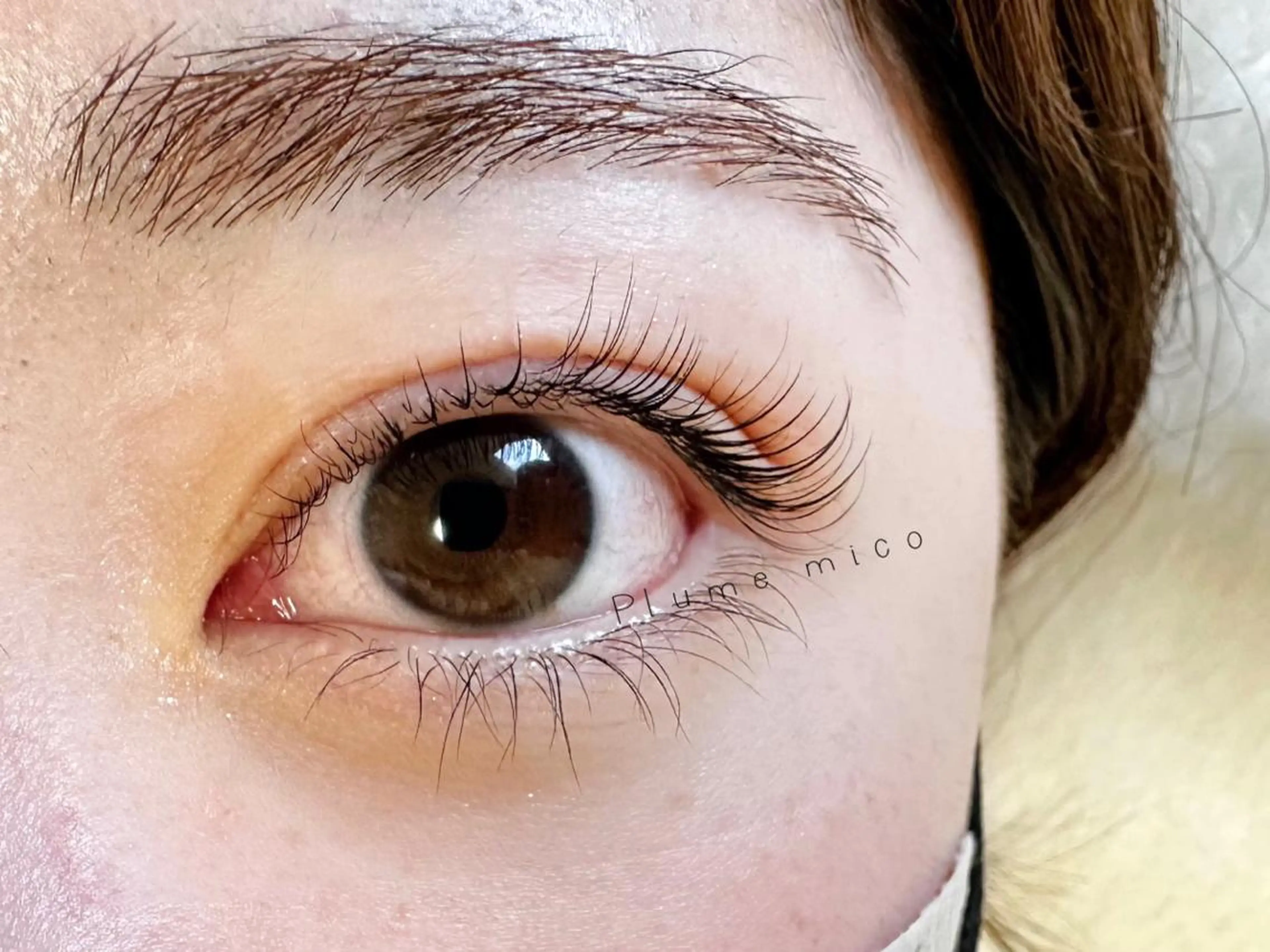 マツエク・マツパ マツパ Plume micoのマツエク・マツパデザイン