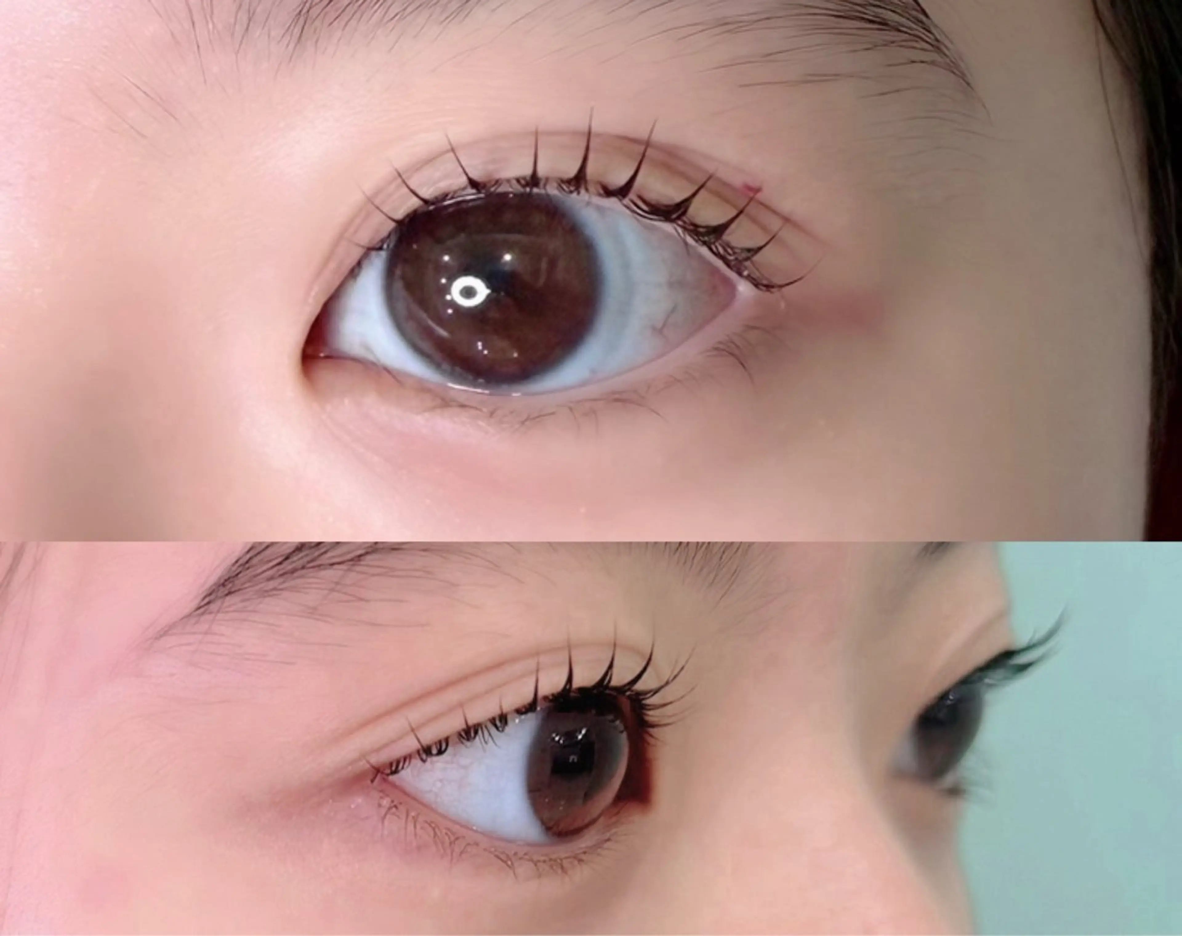 マツエク・マツパ マツパ SSINSTUDIO 𝑴𝒊𝒉𝒐🦋のその他イメージ