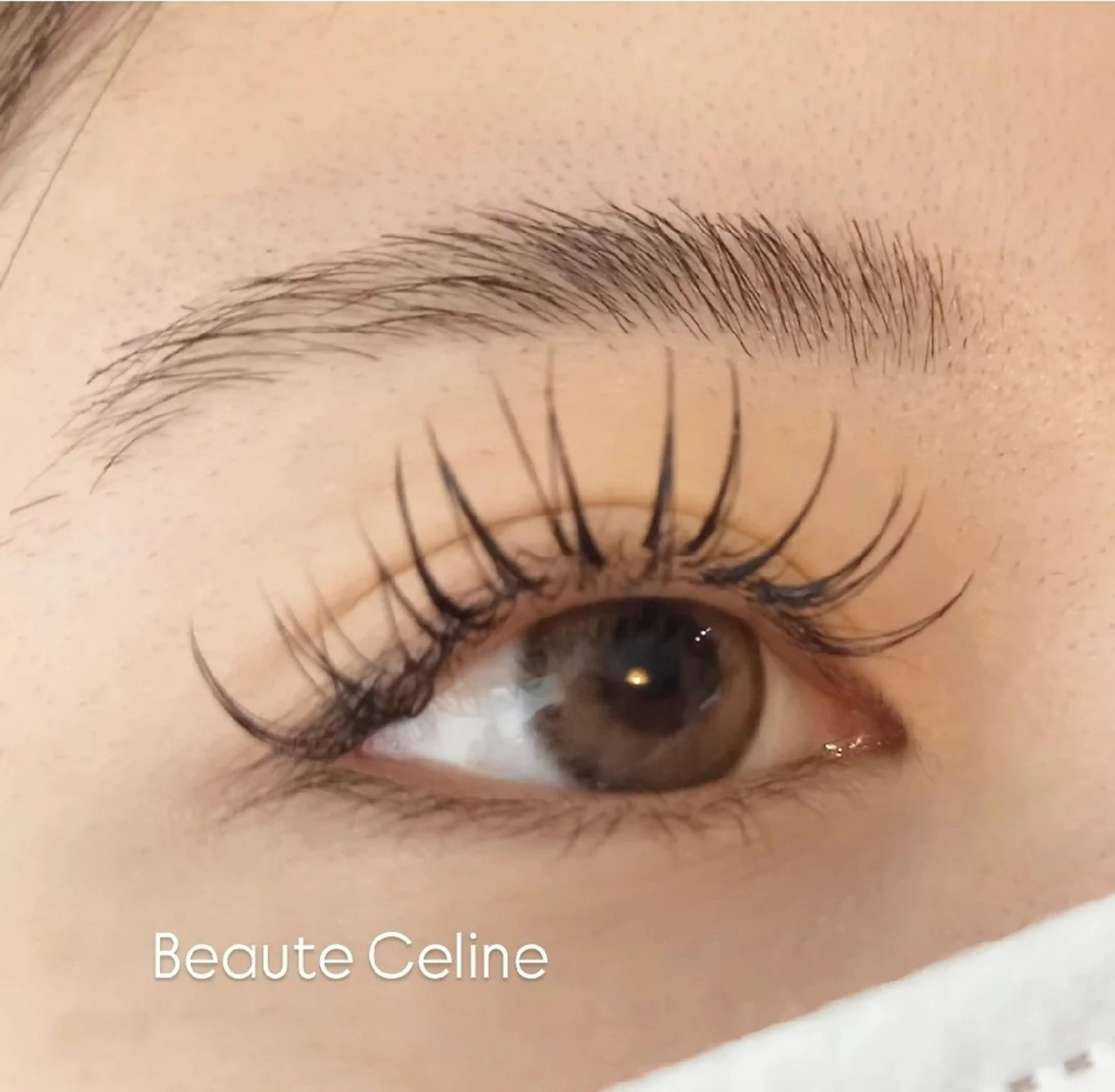 マツエク・マツパ 束感まつ毛 マツエク 8時～✨beaute Celine🌛🌹のマツエク・マツパデザイン