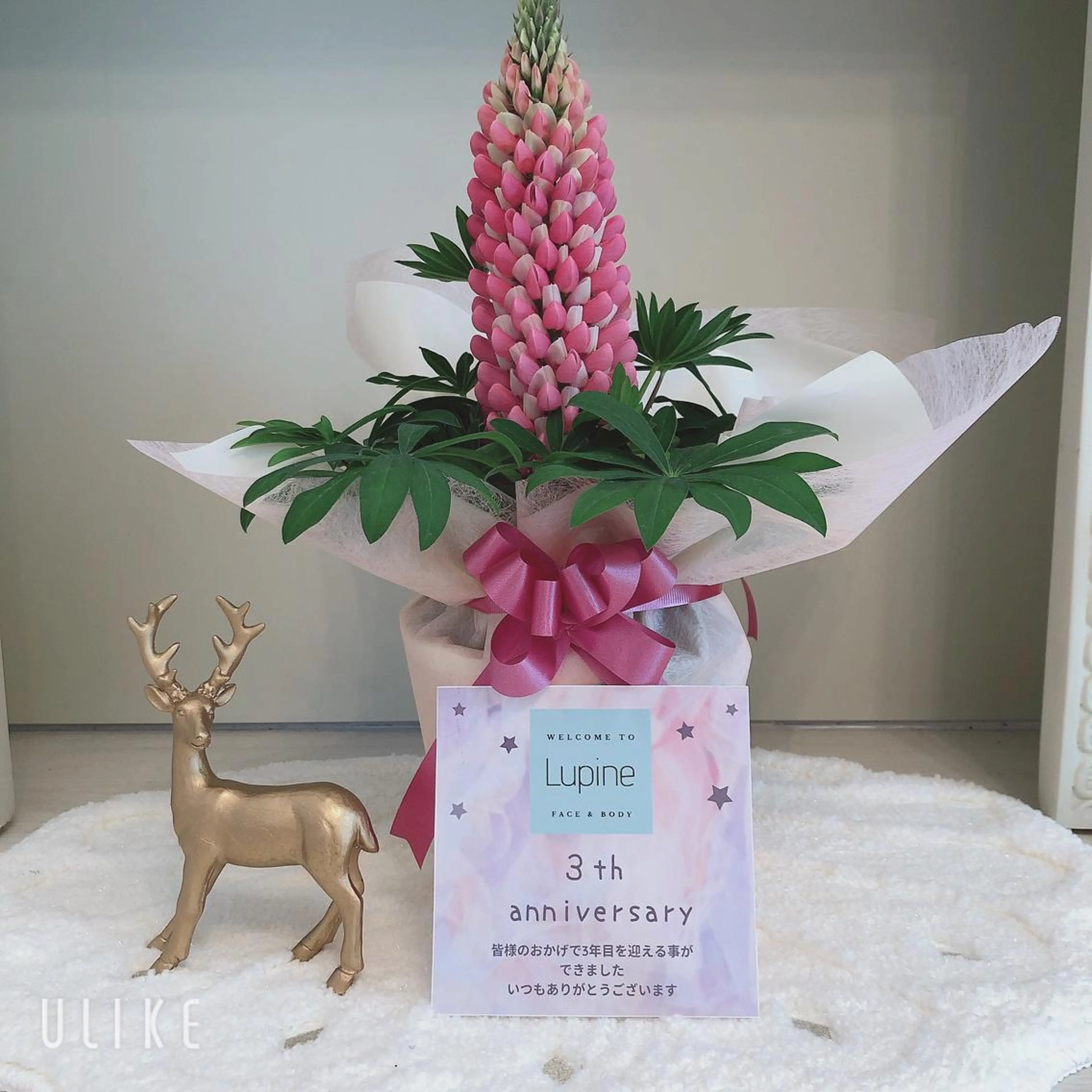 Lupine （エステティシャン）のエステ・リラクイメージ