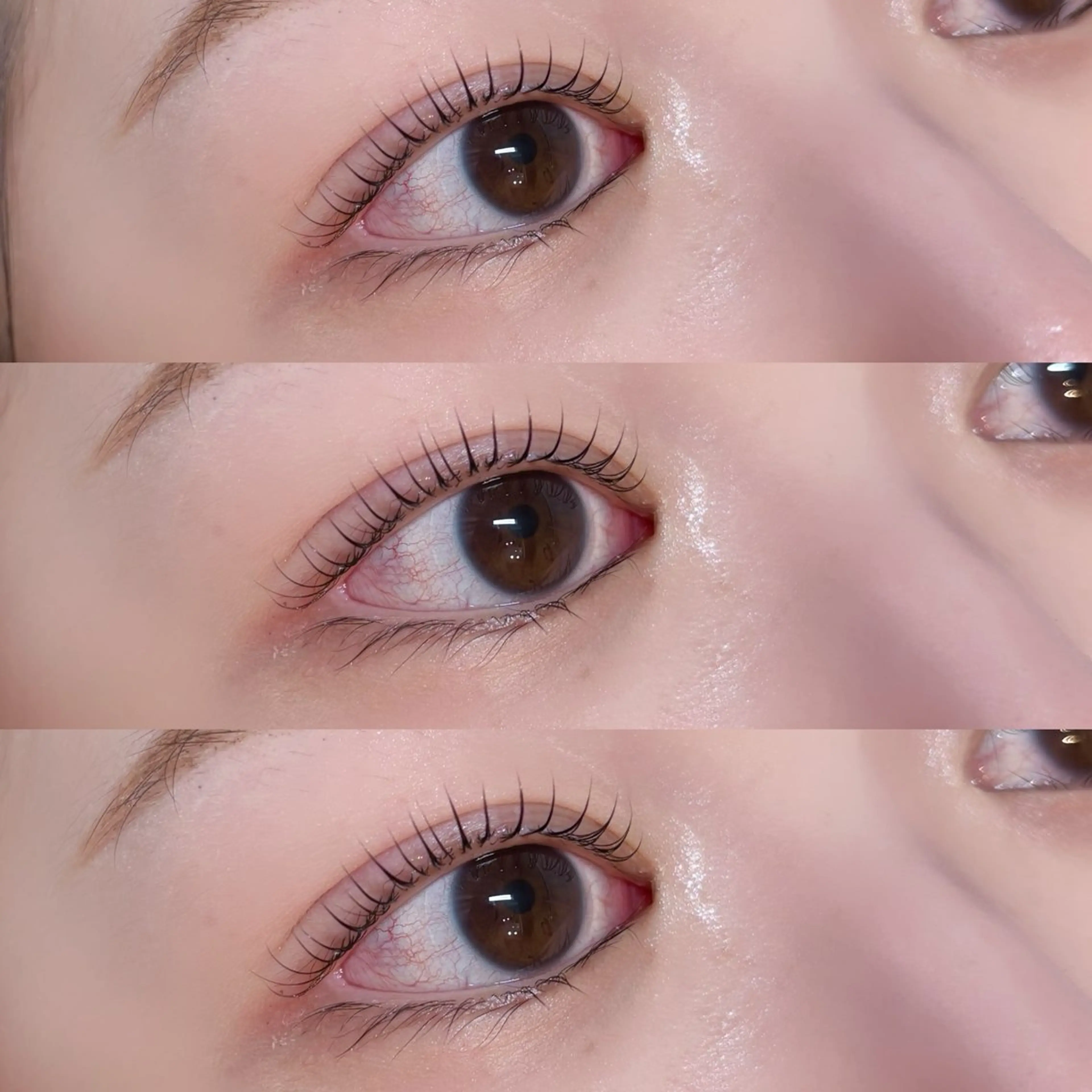 🤍オーダーメイドラッシュリフト（上のみ）🤍【高級トリートメント付き♡】の写真