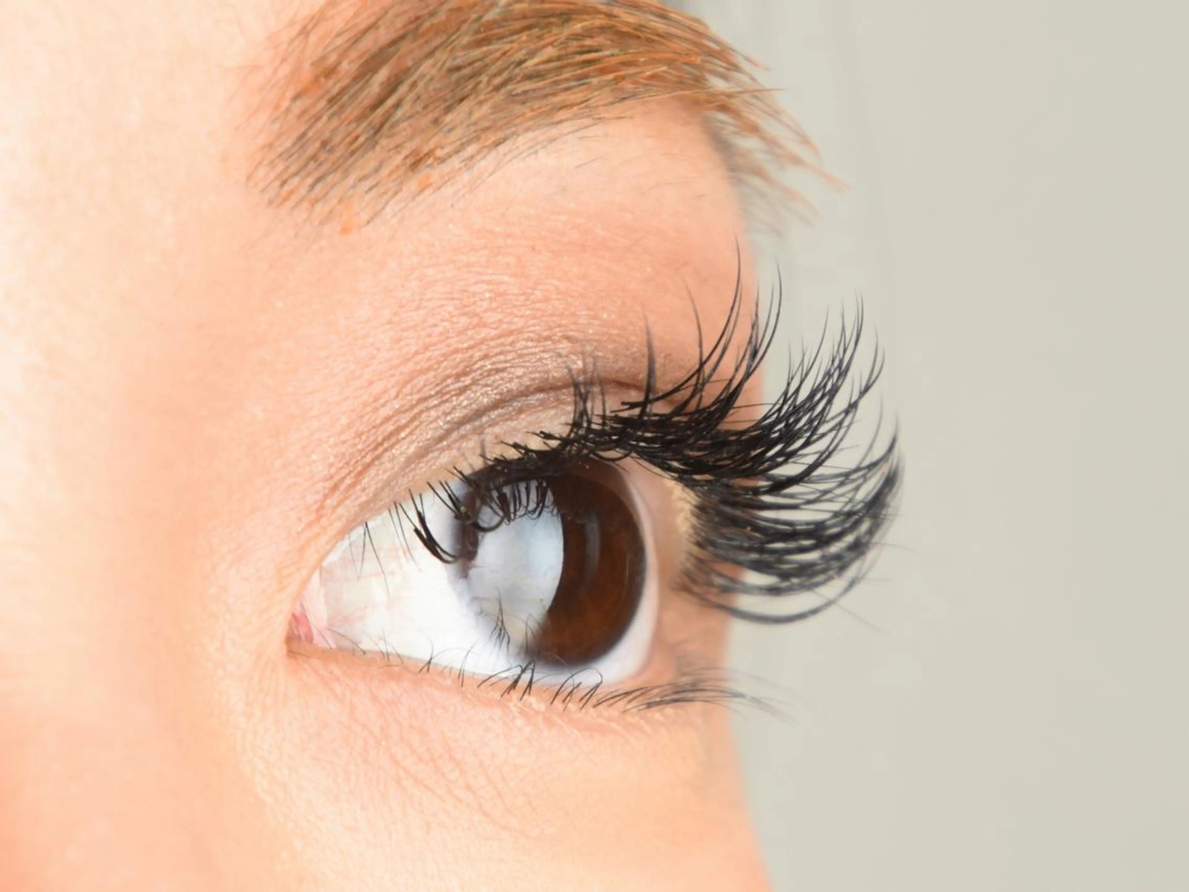 最高級セーブル100本まで　コーティング付　ミニモ限定価格の写真