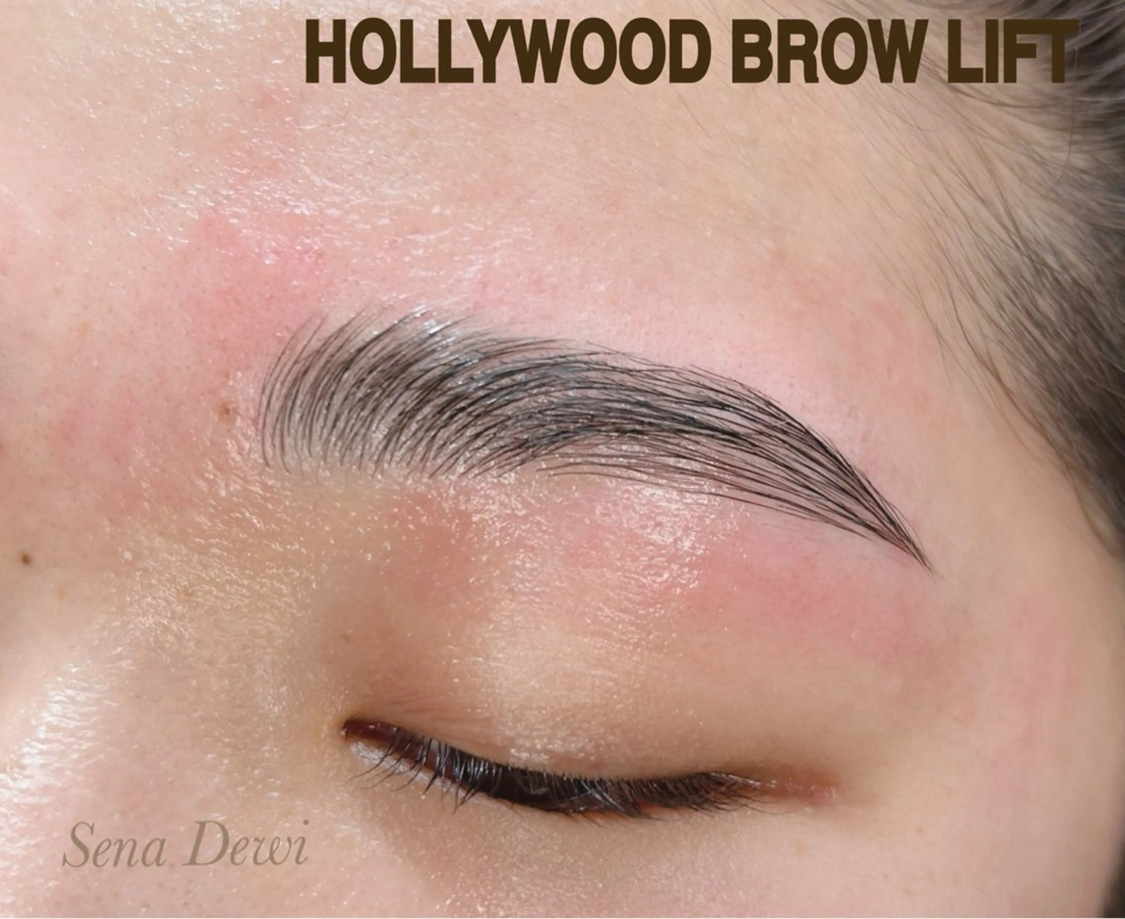 アイブロウ Sena Dewi Yukiの眉毛・アイブロウイメージ