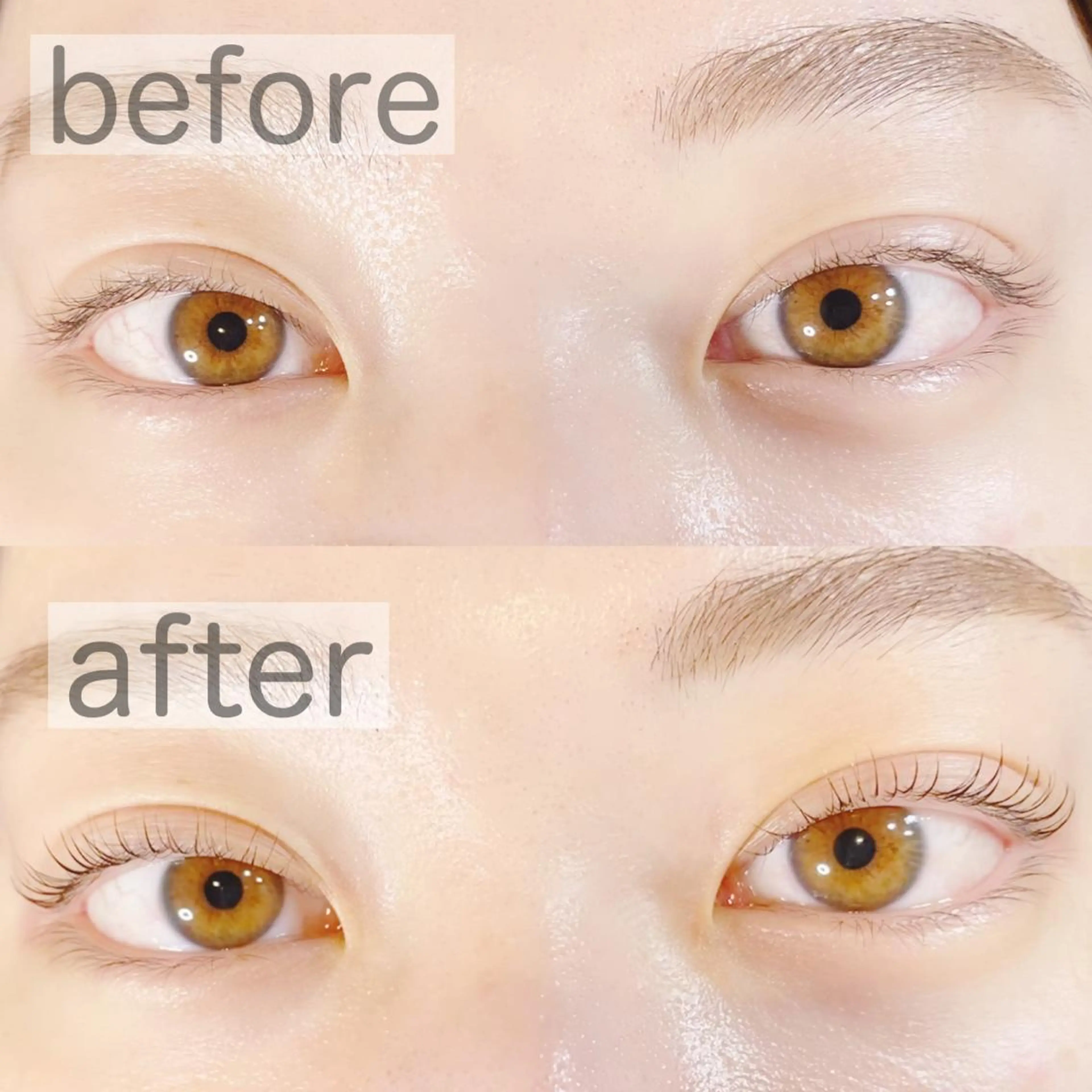 マツエク・マツパ マツエク ビューティー ホスピタルのマツエク・マツパデザイン