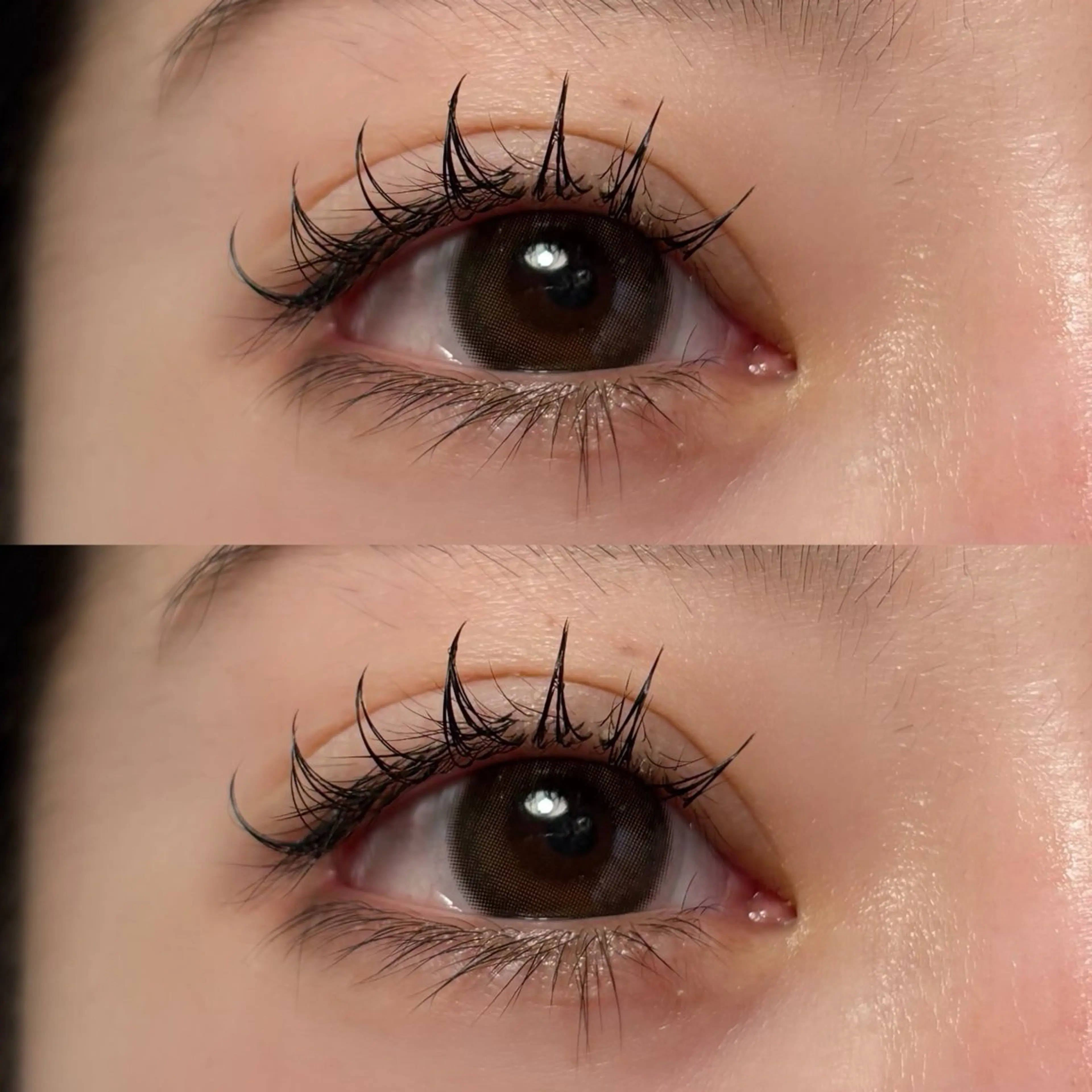 マツエク・マツパ CCカール Cカール 🍇chinatsu 🍇en Rêveのマツエク・マツパデザイン