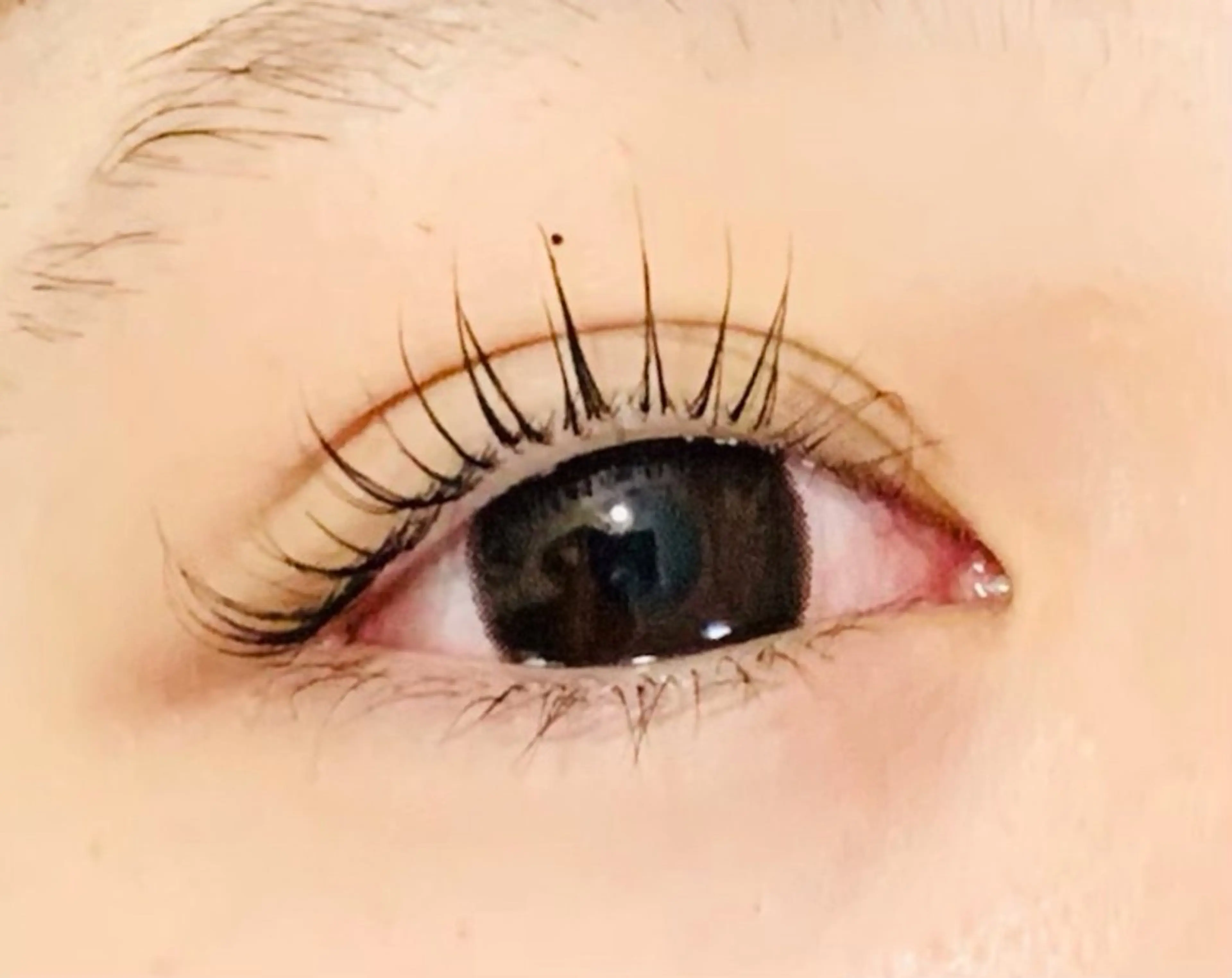 まつ毛パーマモデル　トリートメントコーティング付き　平日限定の写真