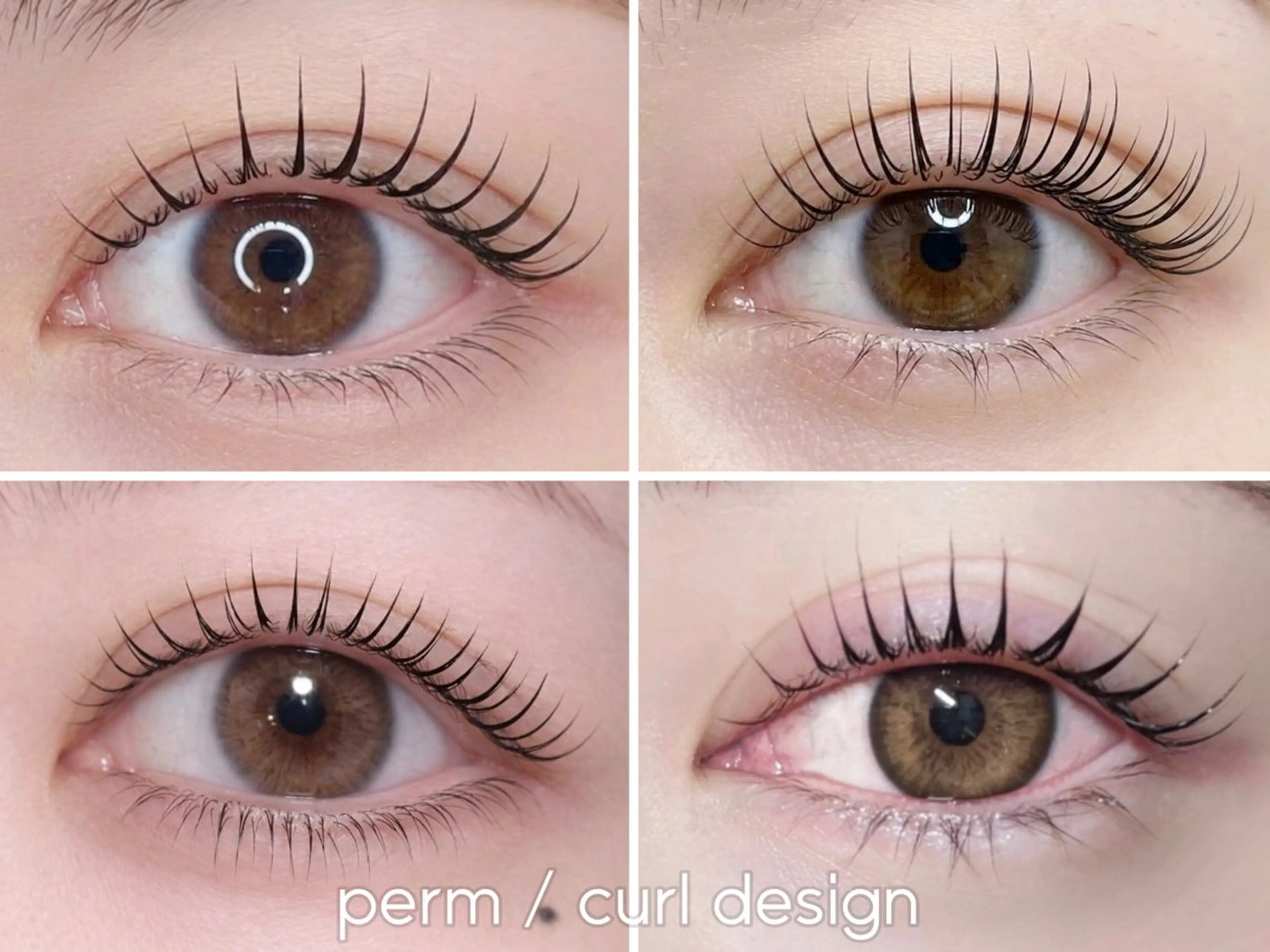 4月限定【パリジェンヌラッシュリフト】コーティング付¥6,000→¥4,900の写真