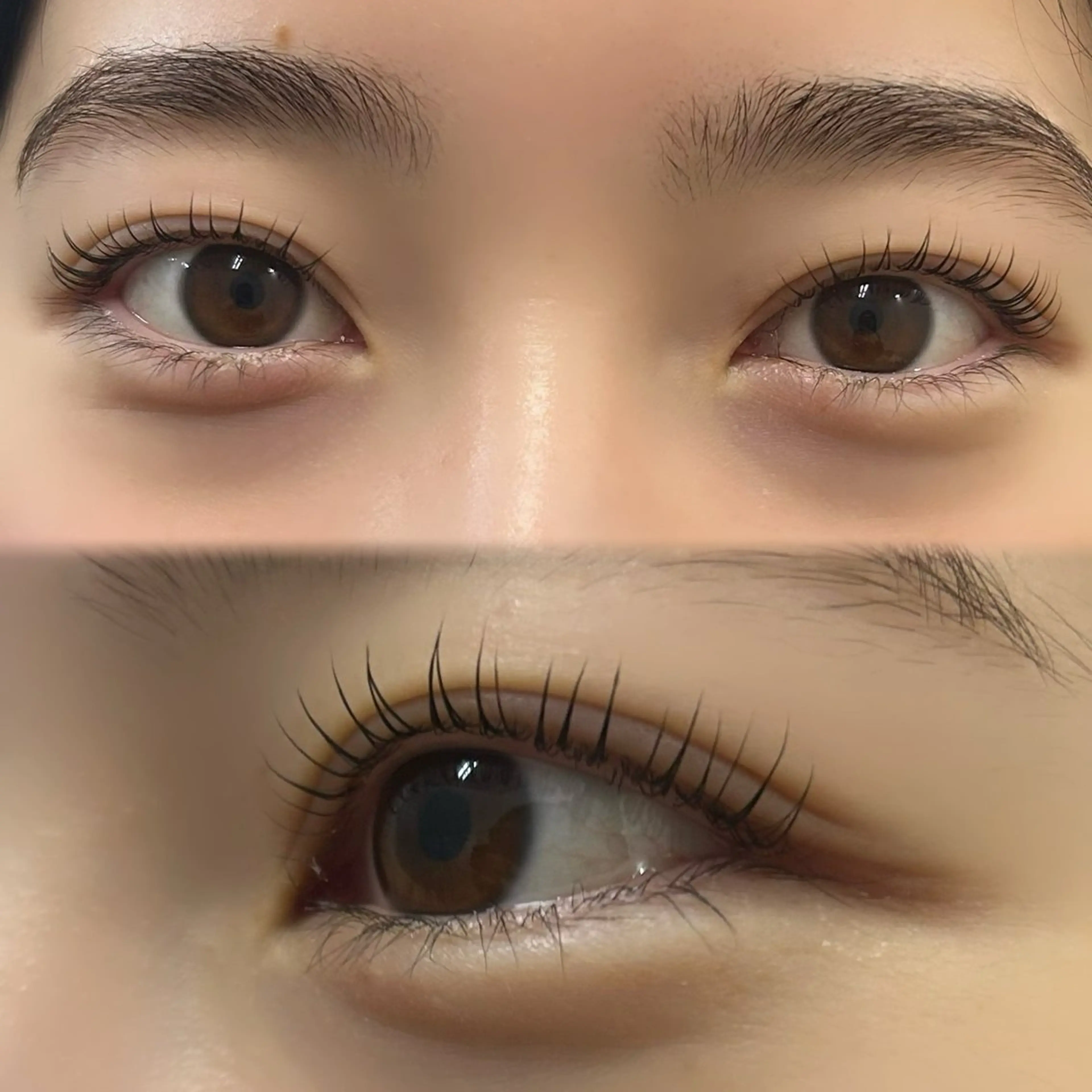 【初回限定】 パリジェンヌ ／ ラッシュリフト   上のみ🌟次世代まつ毛パーマ🌟の写真