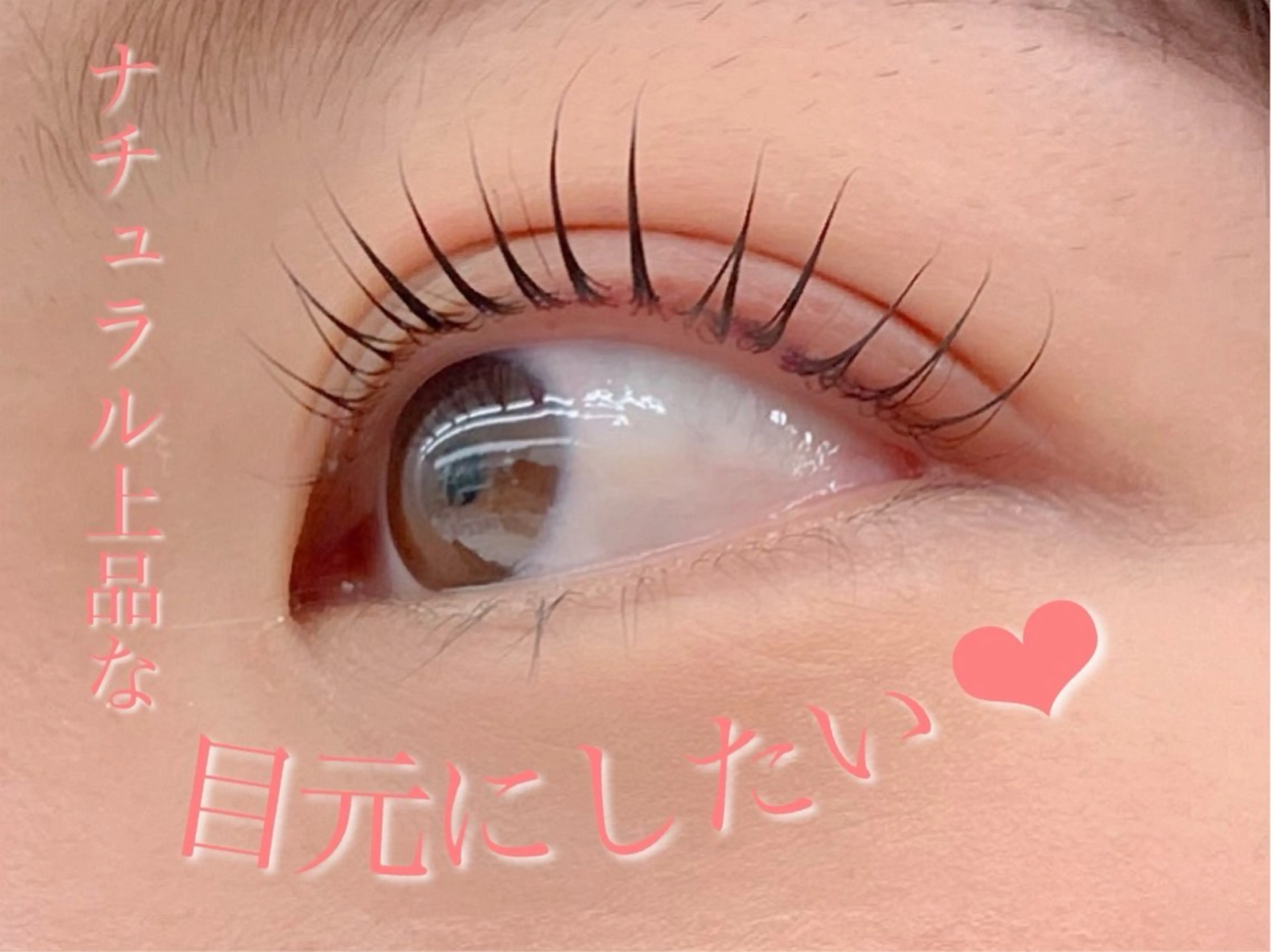 🌟まつ毛パーマ コーティング付き モデル募集中🌱の写真