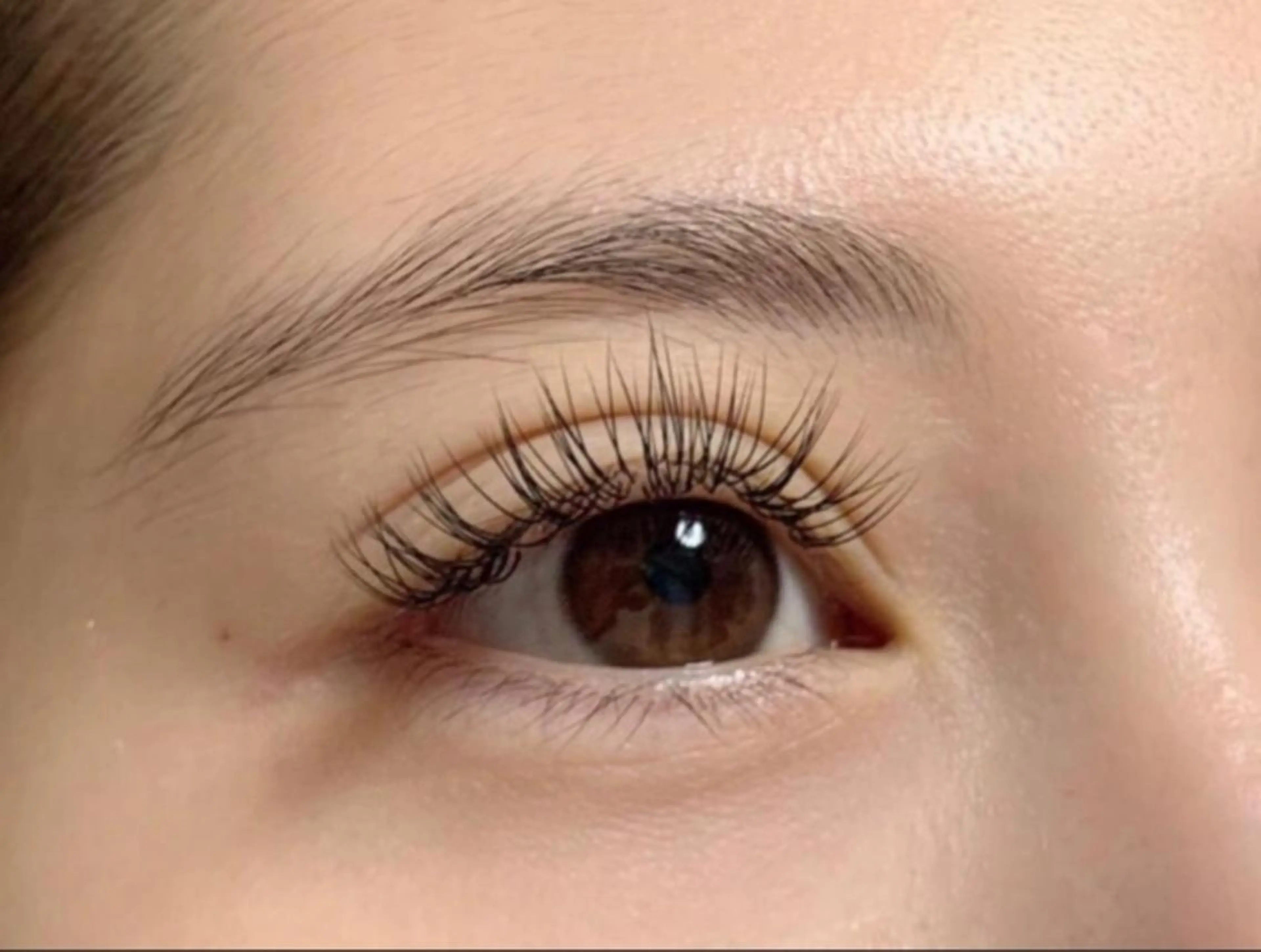 オフ無料✨高級セーブル毛つけ放題【アイシャンプー＋コーティング仕上げ付き】の写真