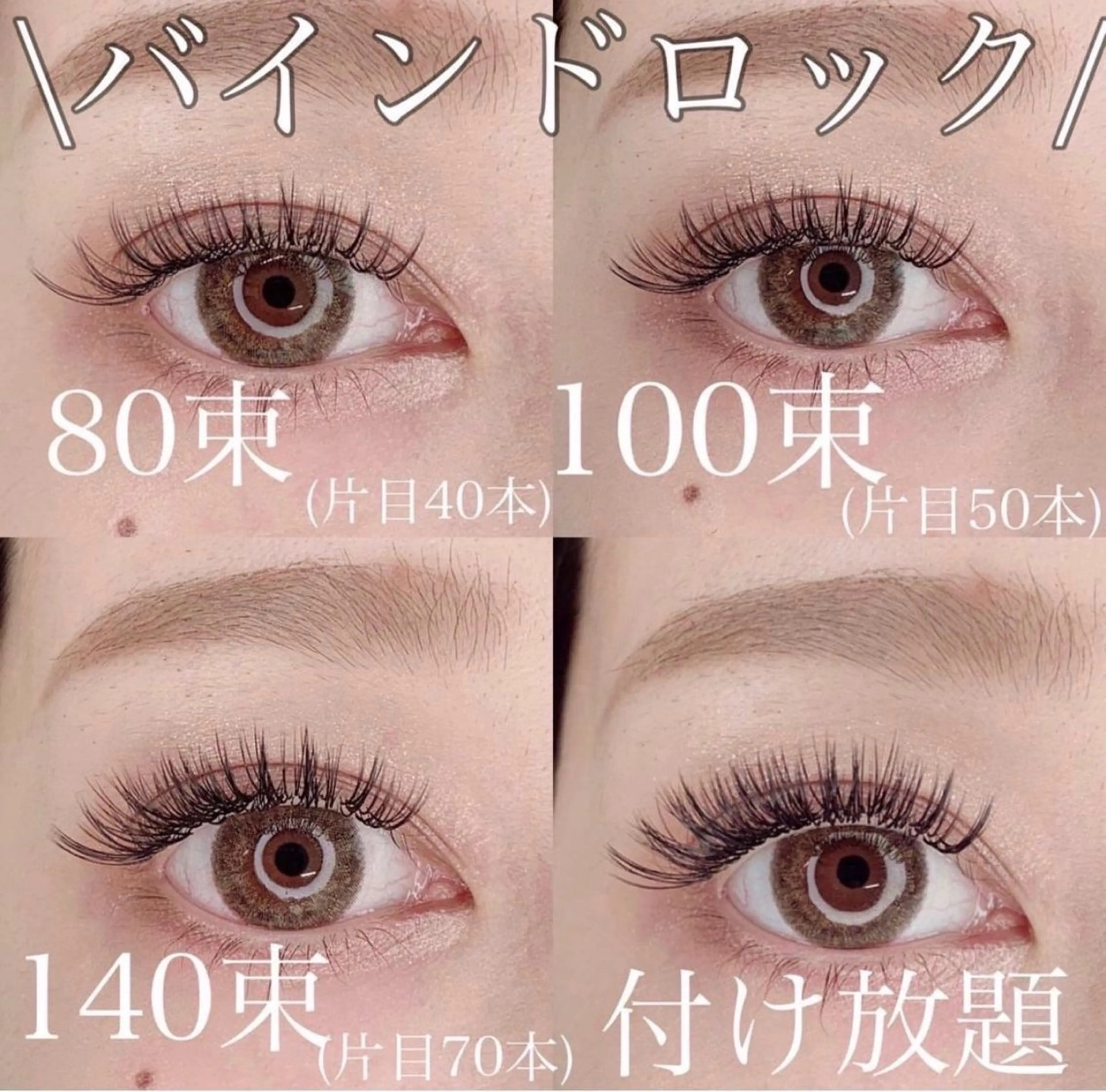 【当日限定‼️】バインドロック80束（オフなし）の写真