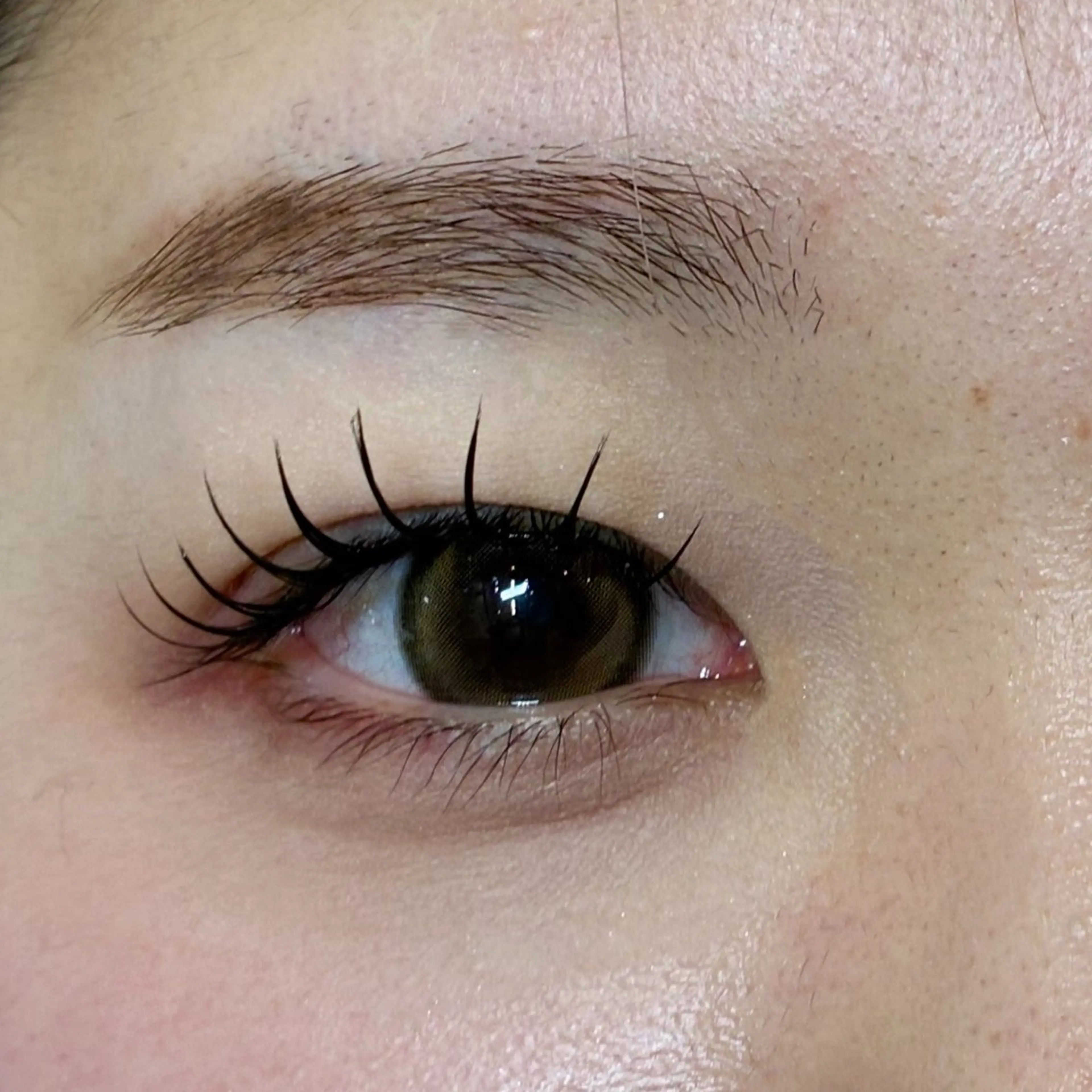 フラットラッシュ120本👀 🍀オフ込み🍀の写真