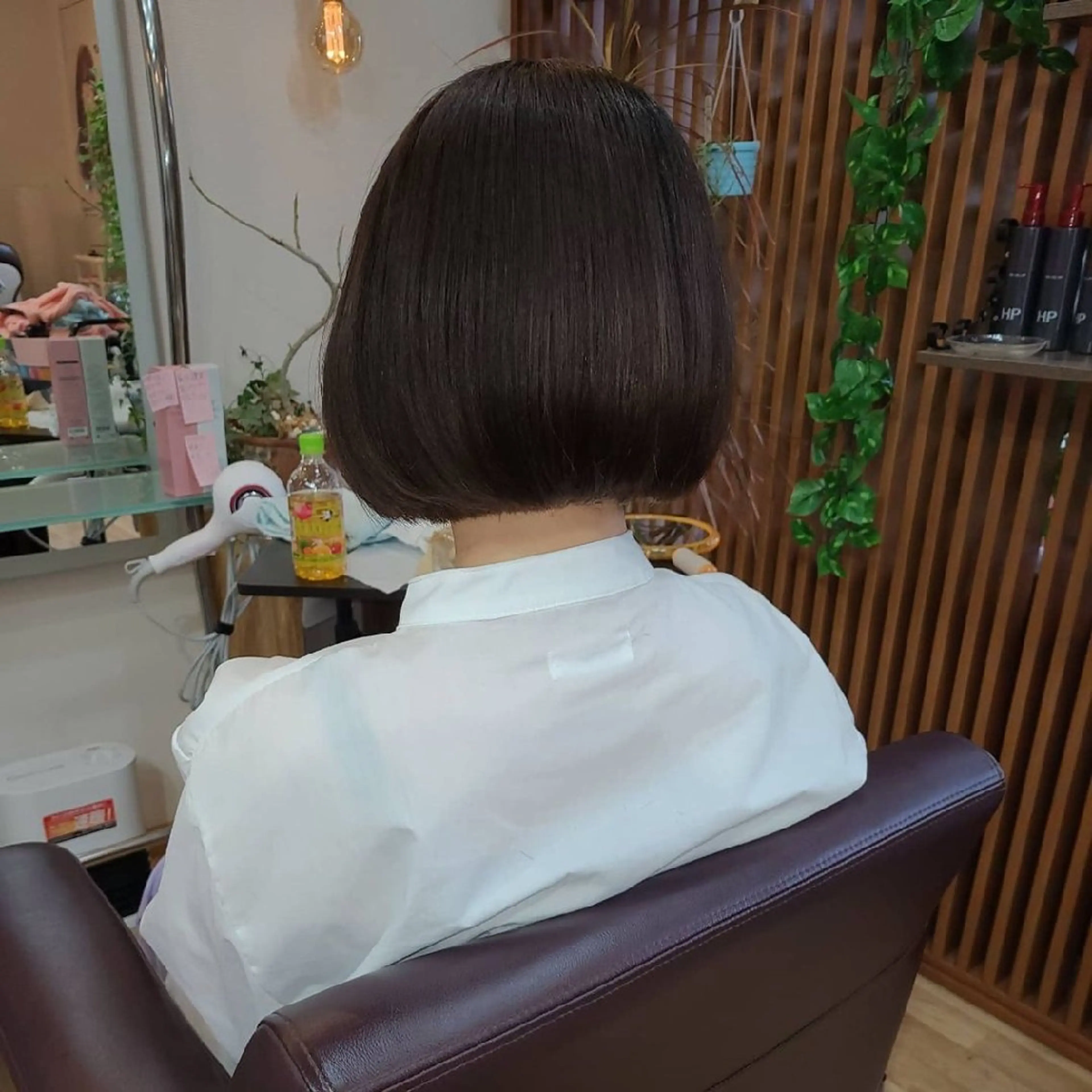 シ マのヘアスタイル