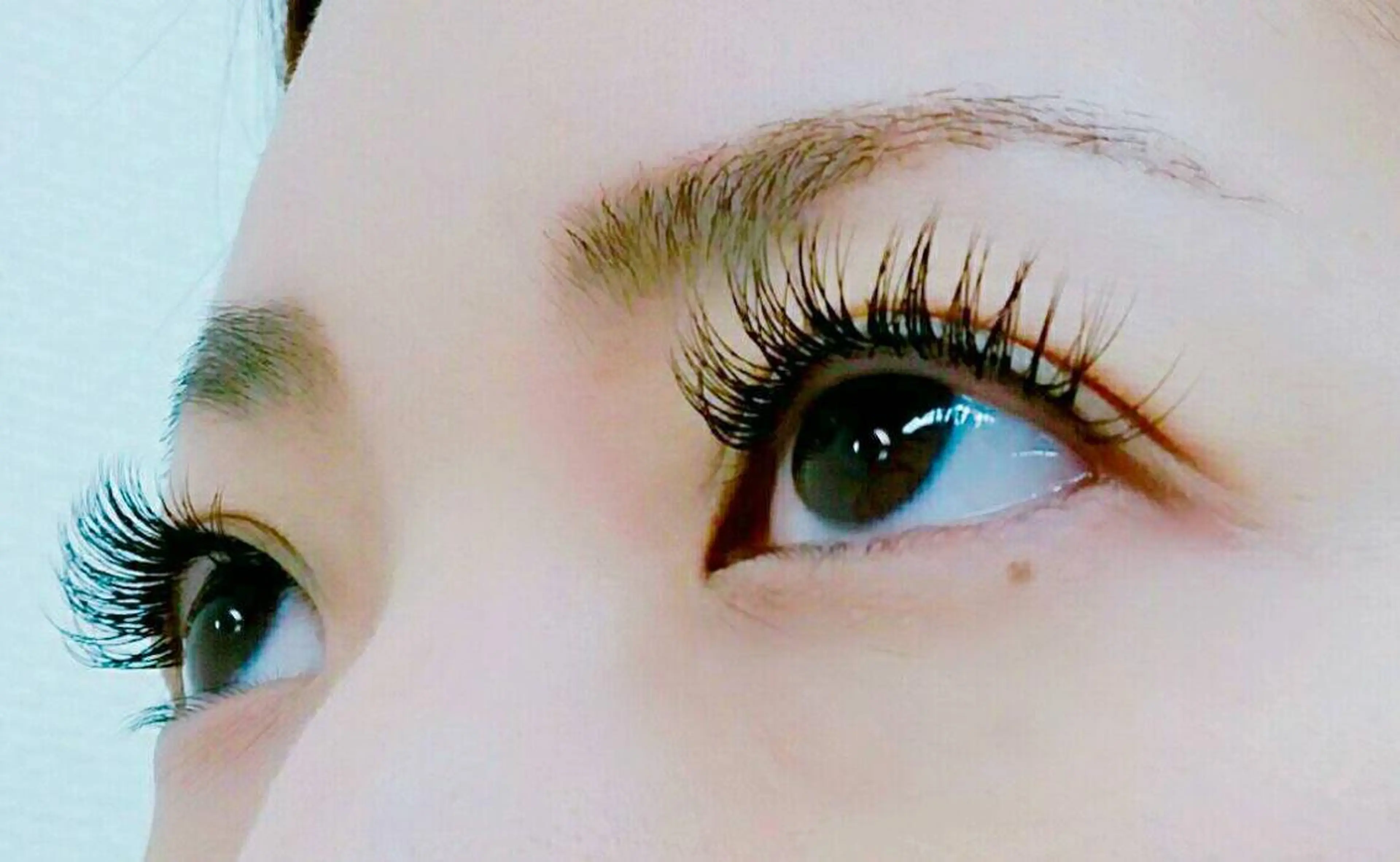 【初回】フラットラッシュ120本の写真