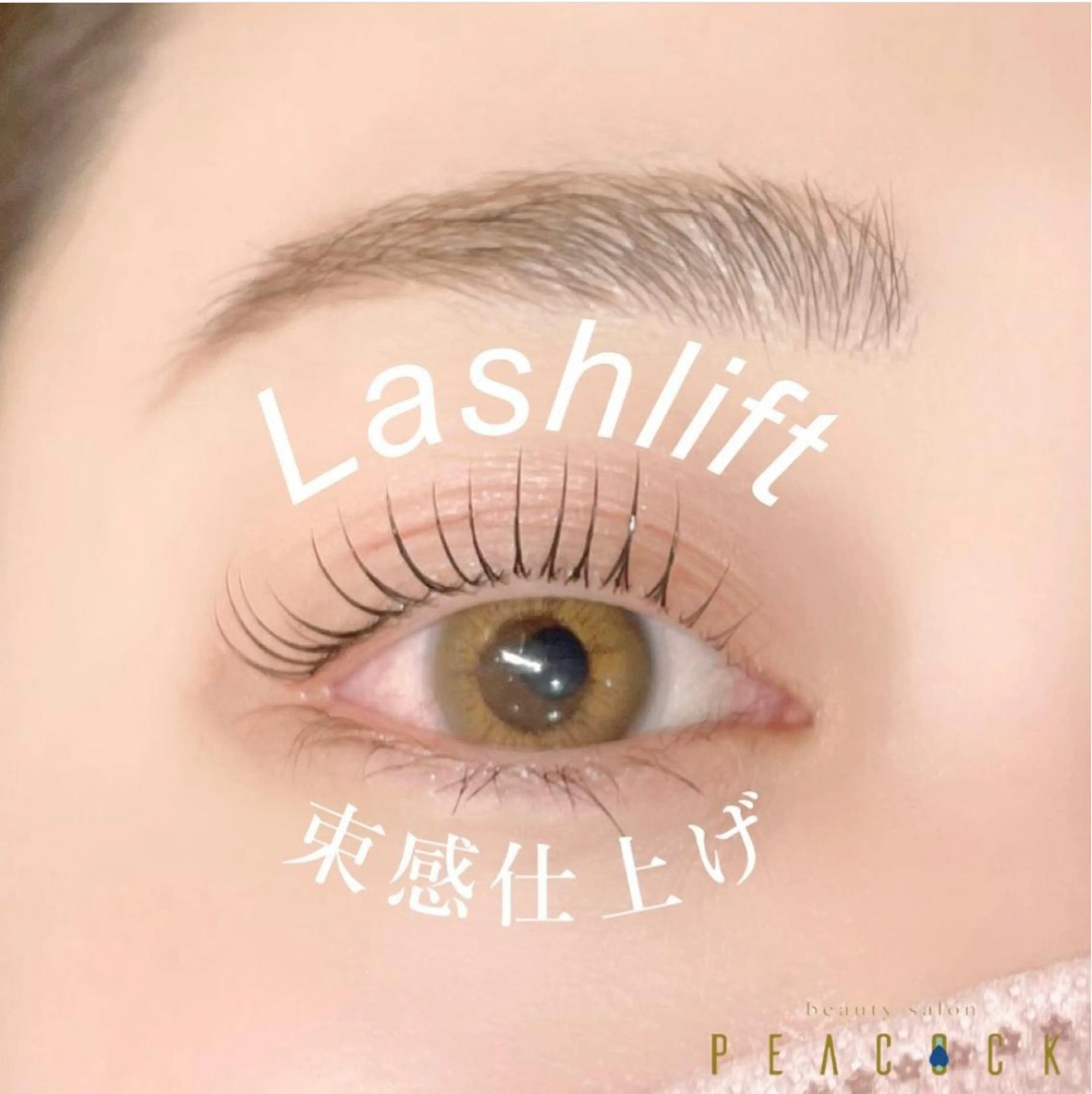 マツエク・マツパ 束感まつ毛 salon peacockの眉毛・アイブロウイメージ