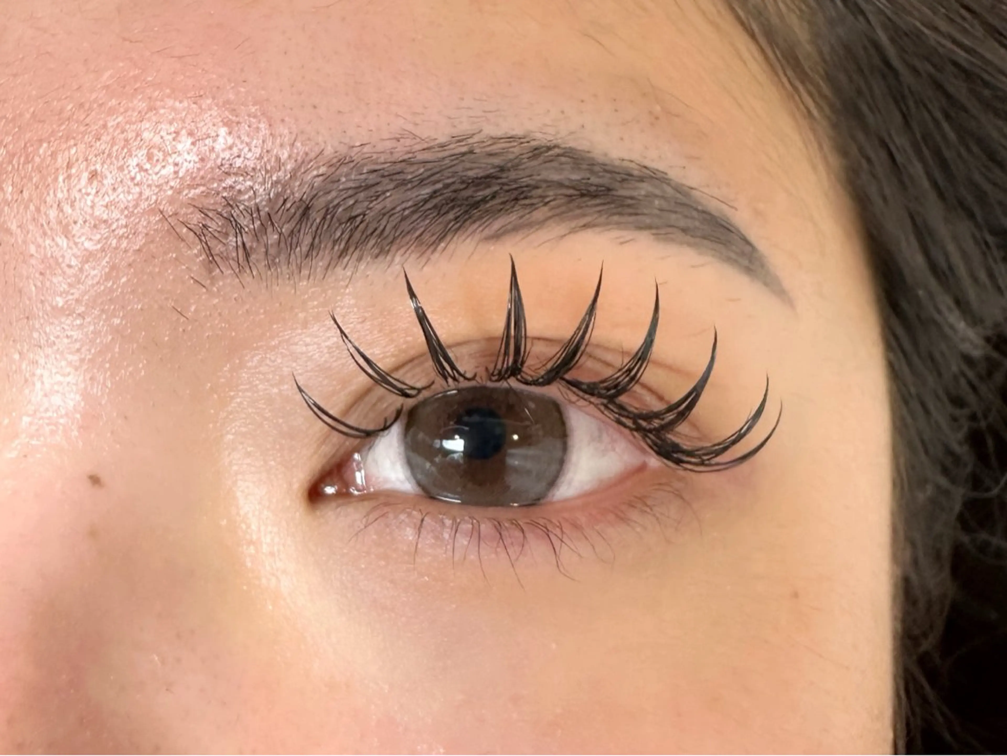 マツエク・マツパ Lily's Dog & Beauty所属・Lily's ®️enaのマツエク・マツパデザイン