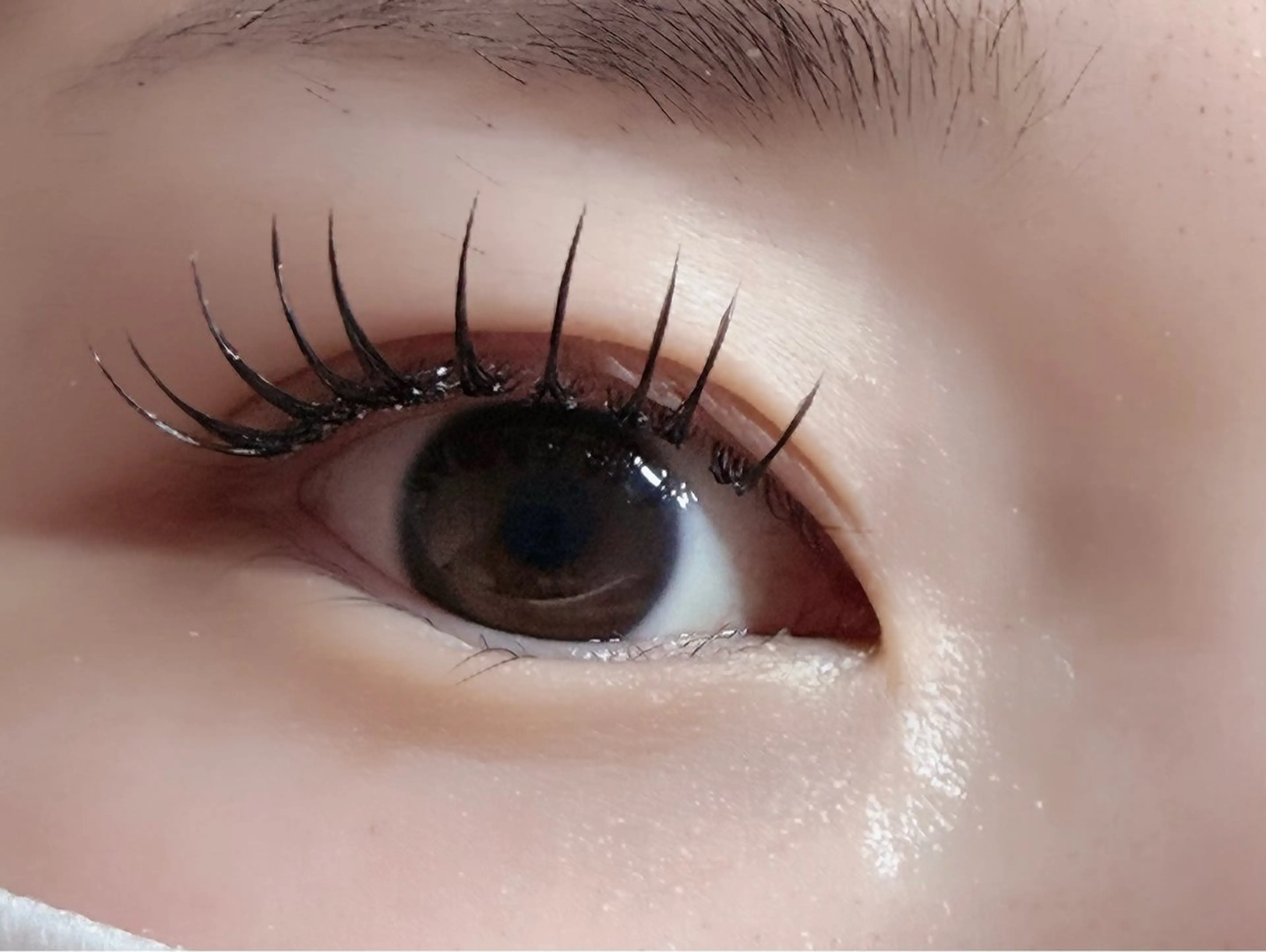 マツエク・マツパ フラットラッシュ マツエク ルチア💞 lucia高田馬場のマツエク・マツパデザイン