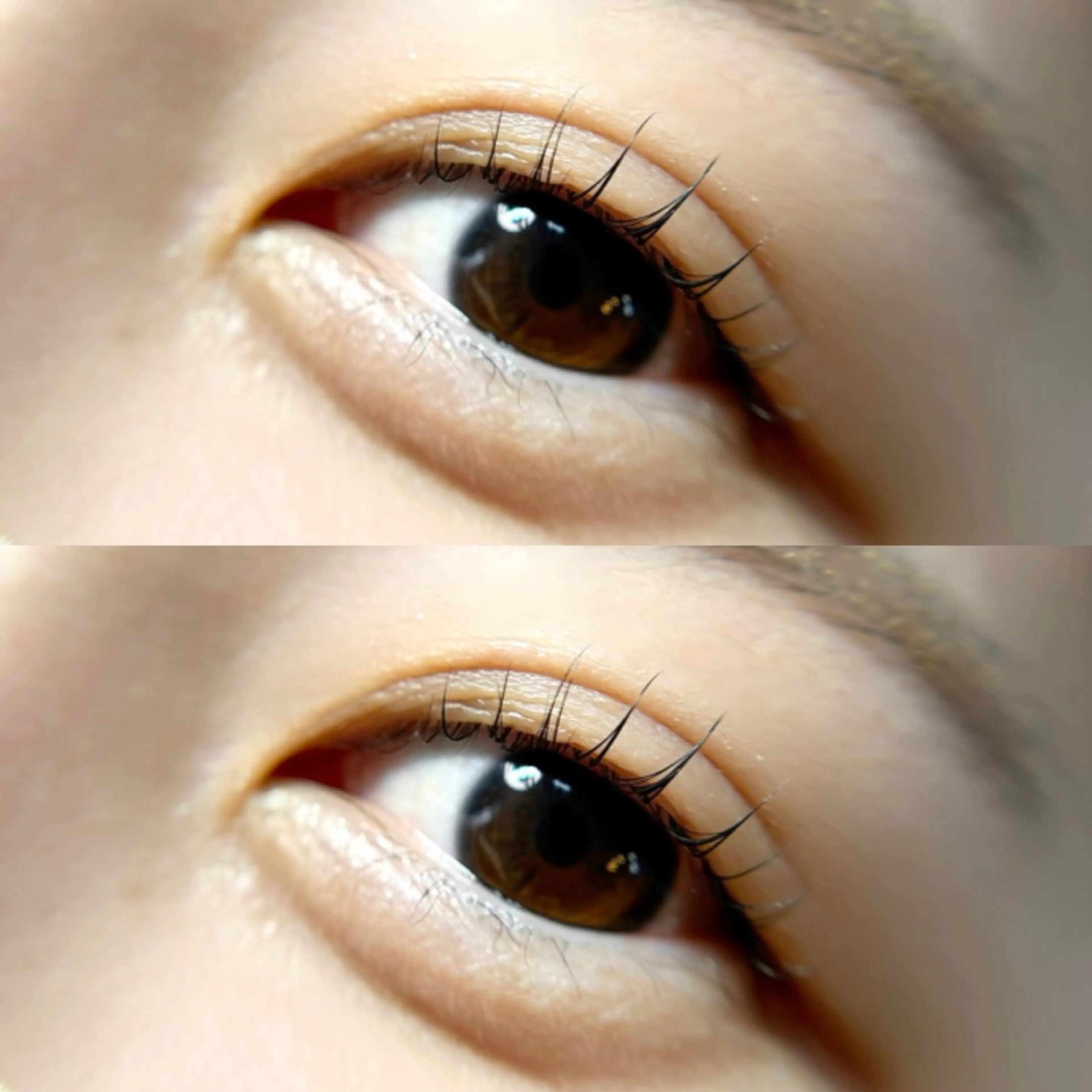 マツエク・マツパ peTiT京橋店🌷 yuiのマツエク・マツパデザイン