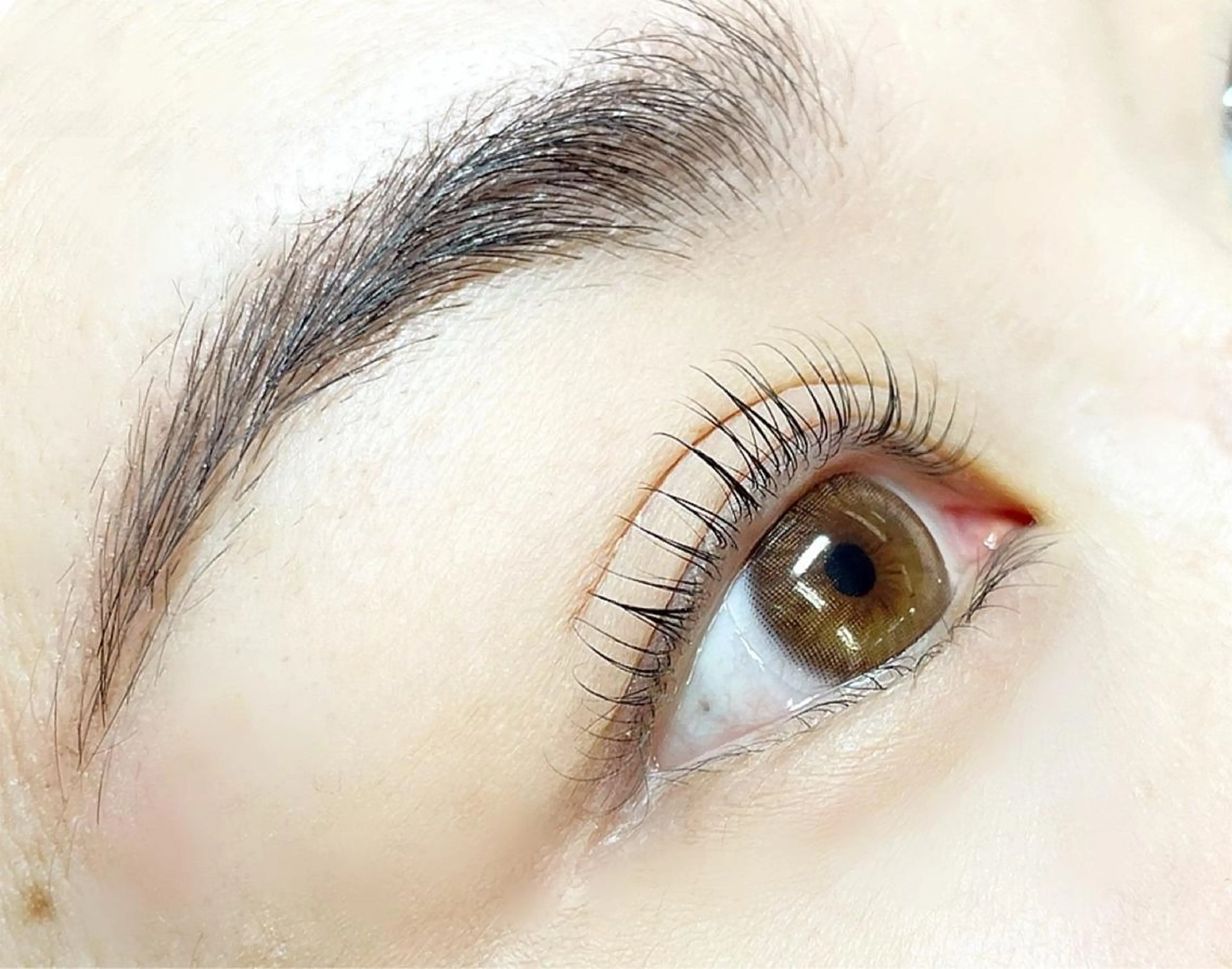 マツエク・マツパ eyelash- r🌹の眉毛・アイブロウイメージ