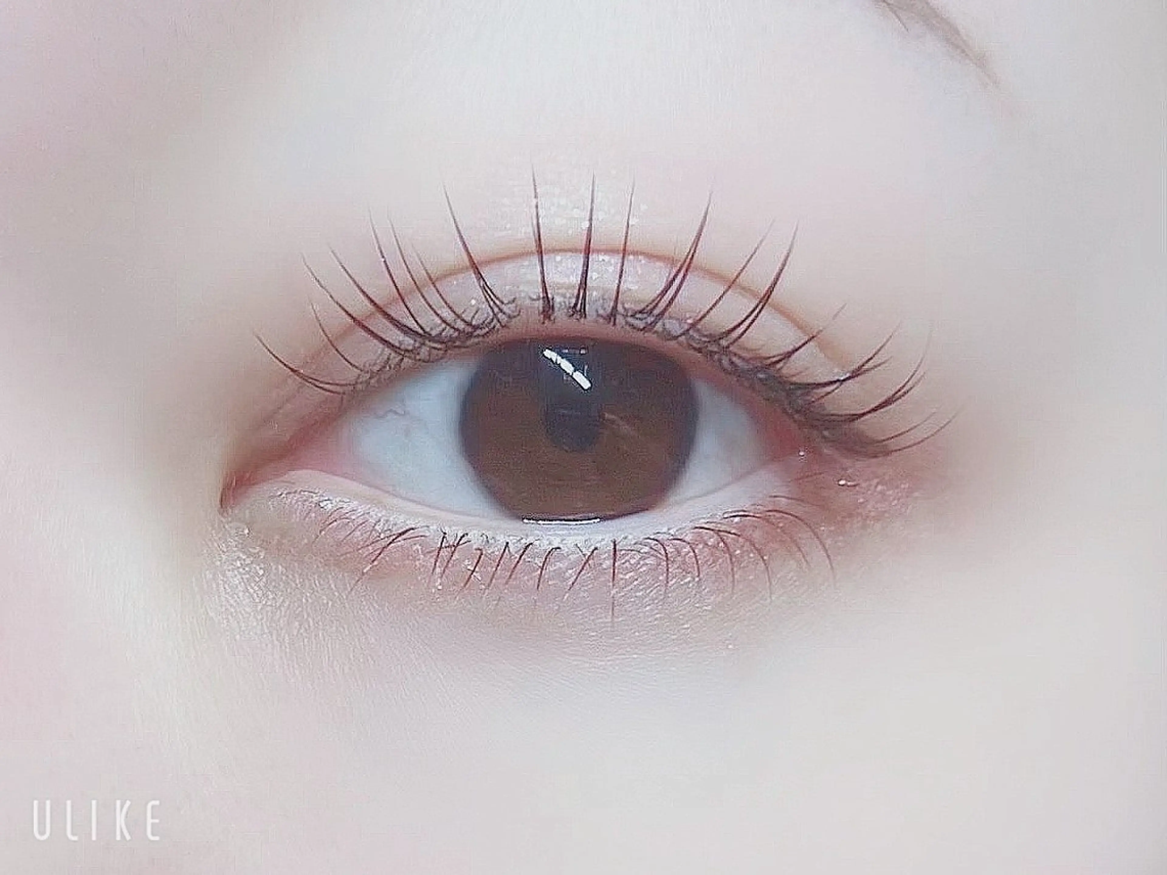 マツエク・マツパ マツエク H. Yurinaの眉毛・アイブロウイメージ