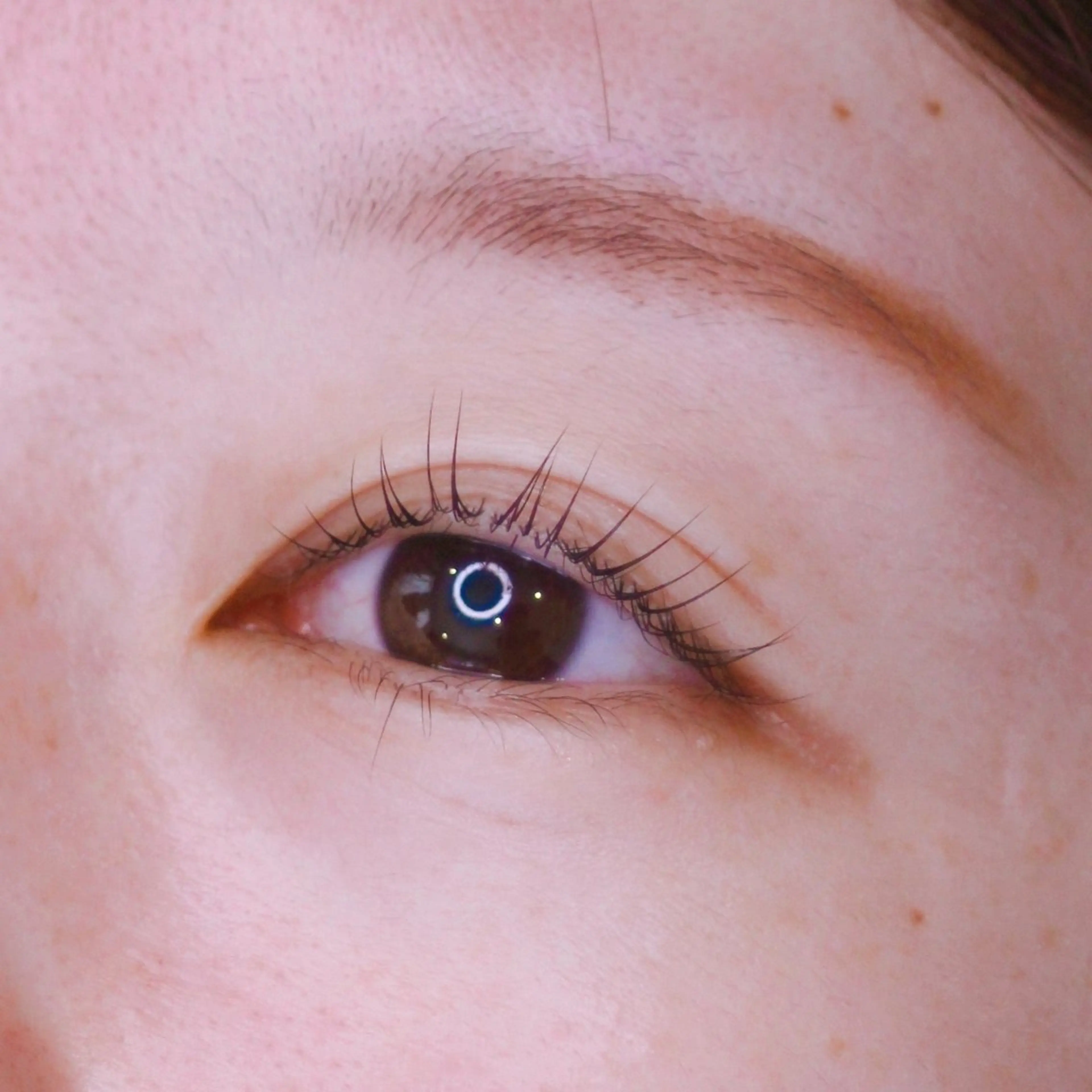 マツエク・マツパ Feather MAIのマツエク・マツパデザイン