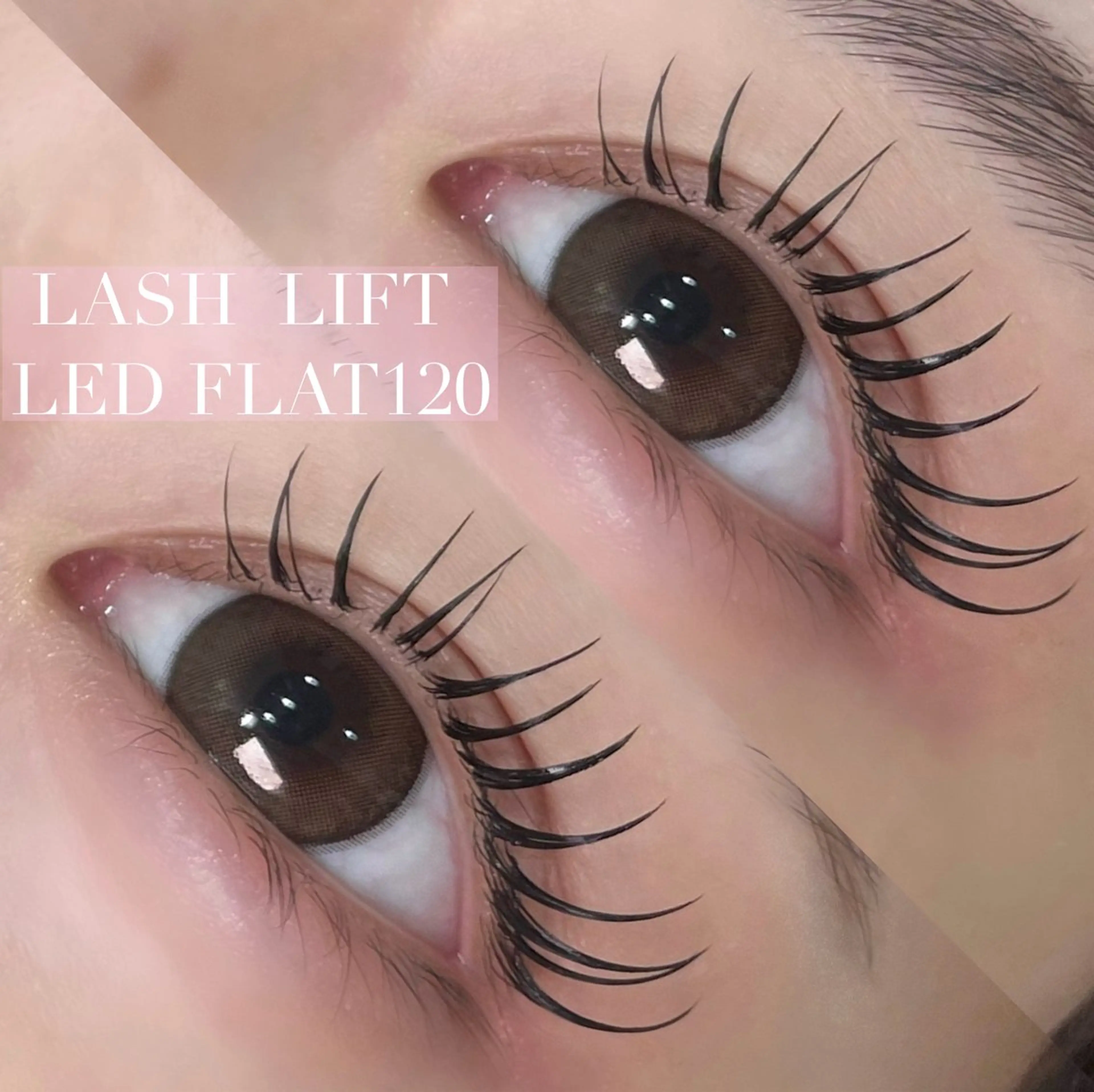 💞圧倒的な可愛さで話題💞パリエクの進化版リフエク✨両目80本まで コーティング仕上げ付きの写真