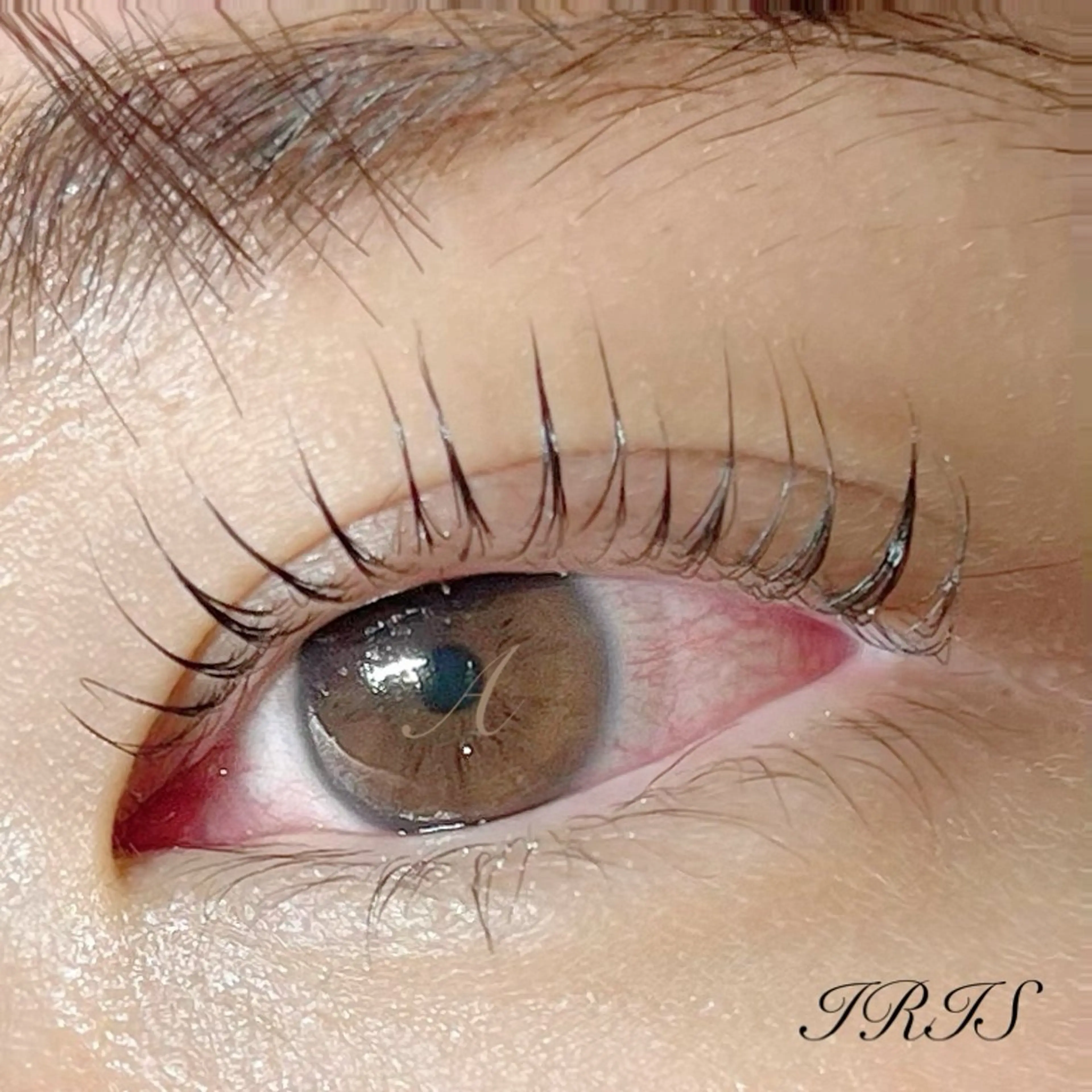 マツエク・マツパ 一重×まつ毛パーマ マツパ IRIS🫧 Ayaのマツエク・マツパデザイン