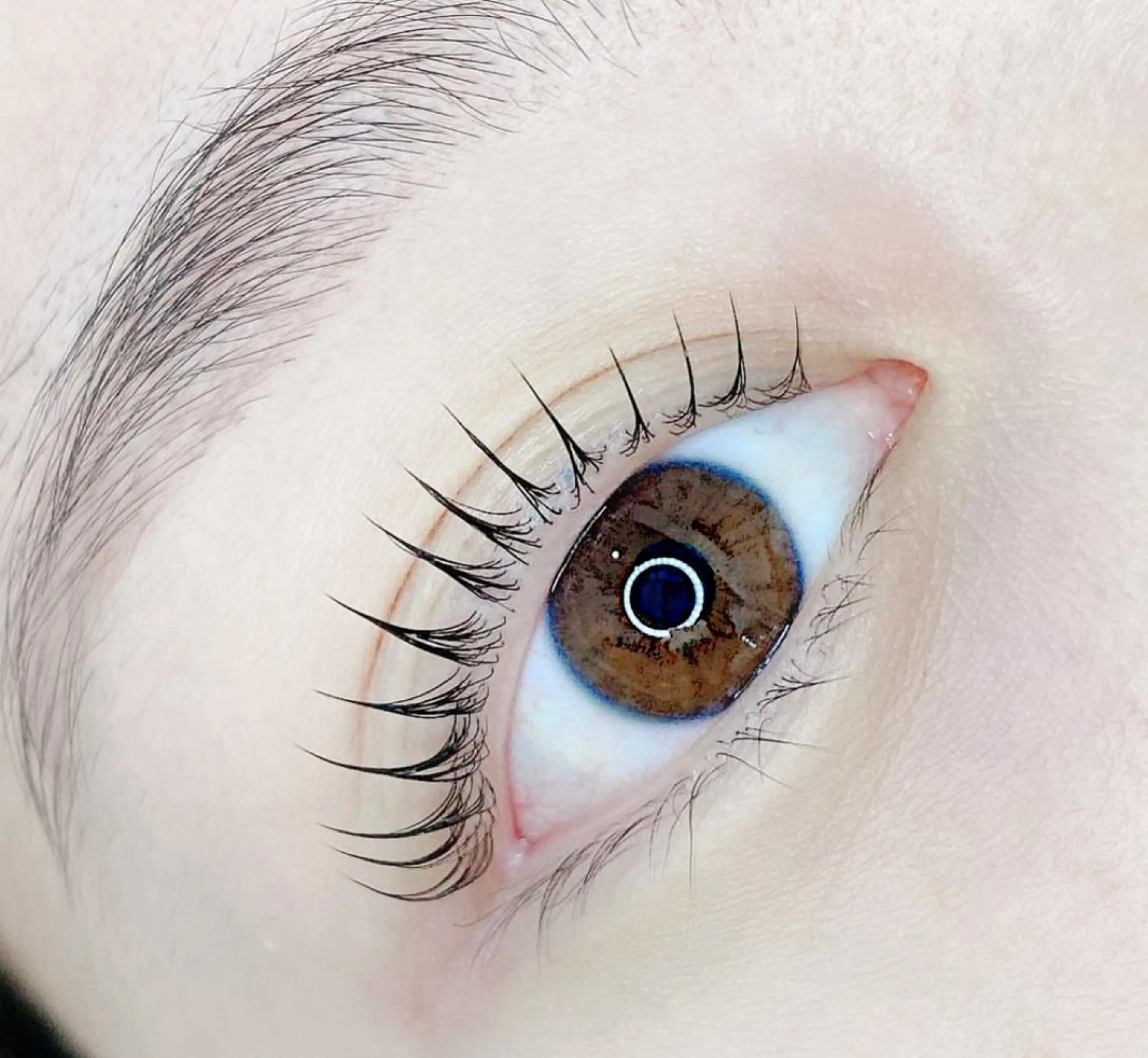 マツエク・マツパ YUKA 🐩🎀のマツエク・マツパデザイン