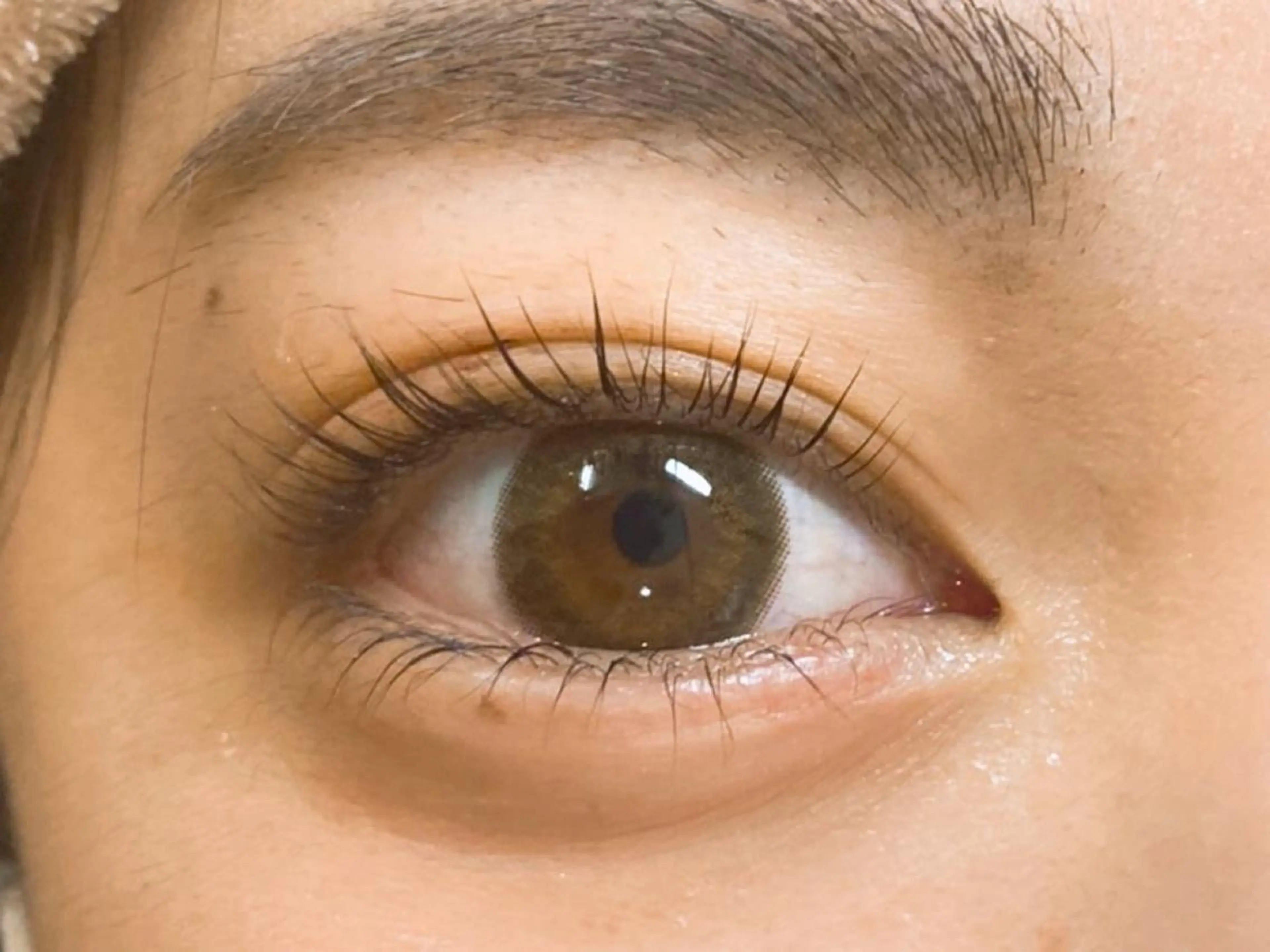 マツエク・マツパ パリジェンヌラッシュリフト 💙MAQUIA 池袋💙牛丸ほのみのマツエク・マツパデザイン