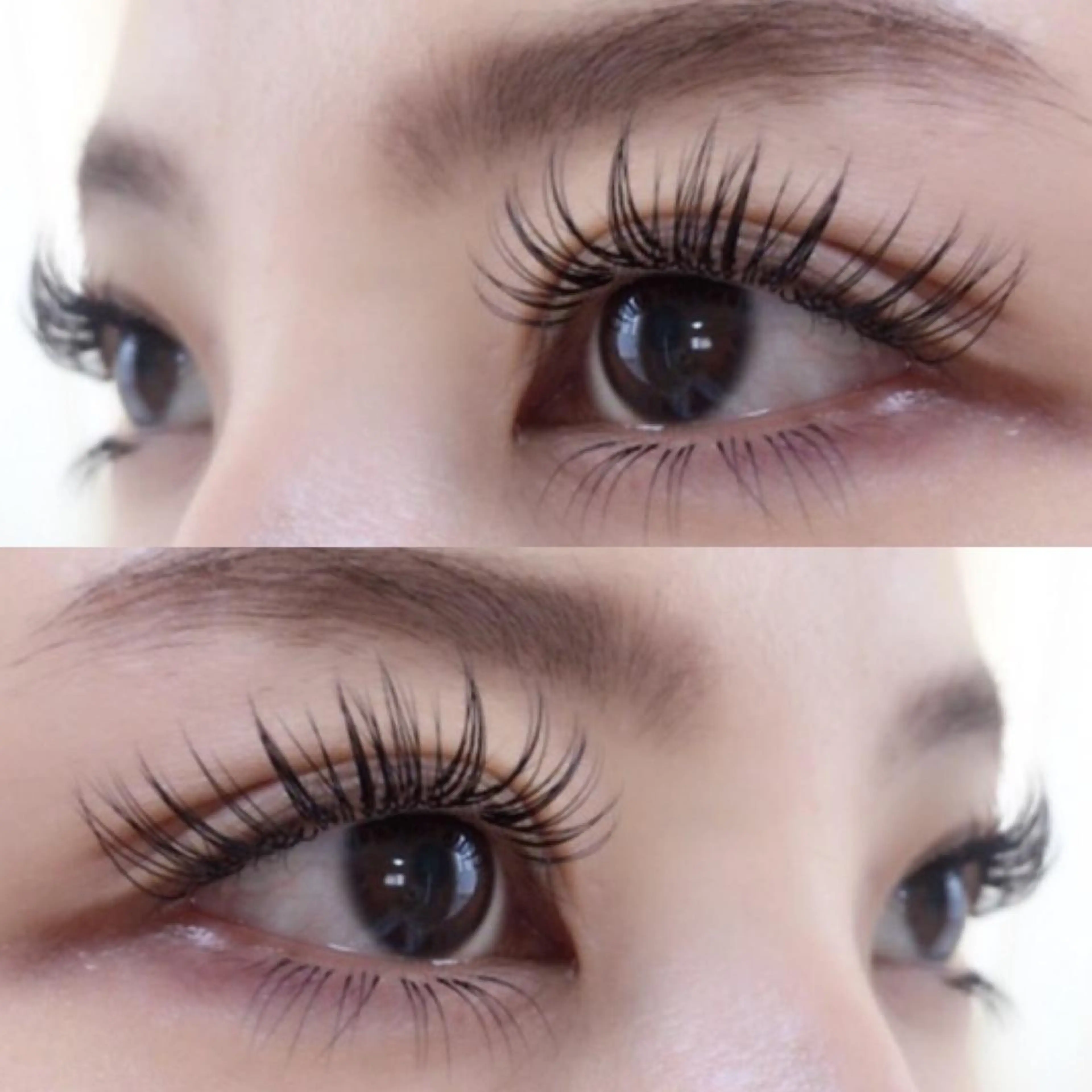 マツエク・マツパ Dカール アップワードラッシュ マツエク 平和島駅徒歩7分 Ayaのマツエク・マツパデザイン