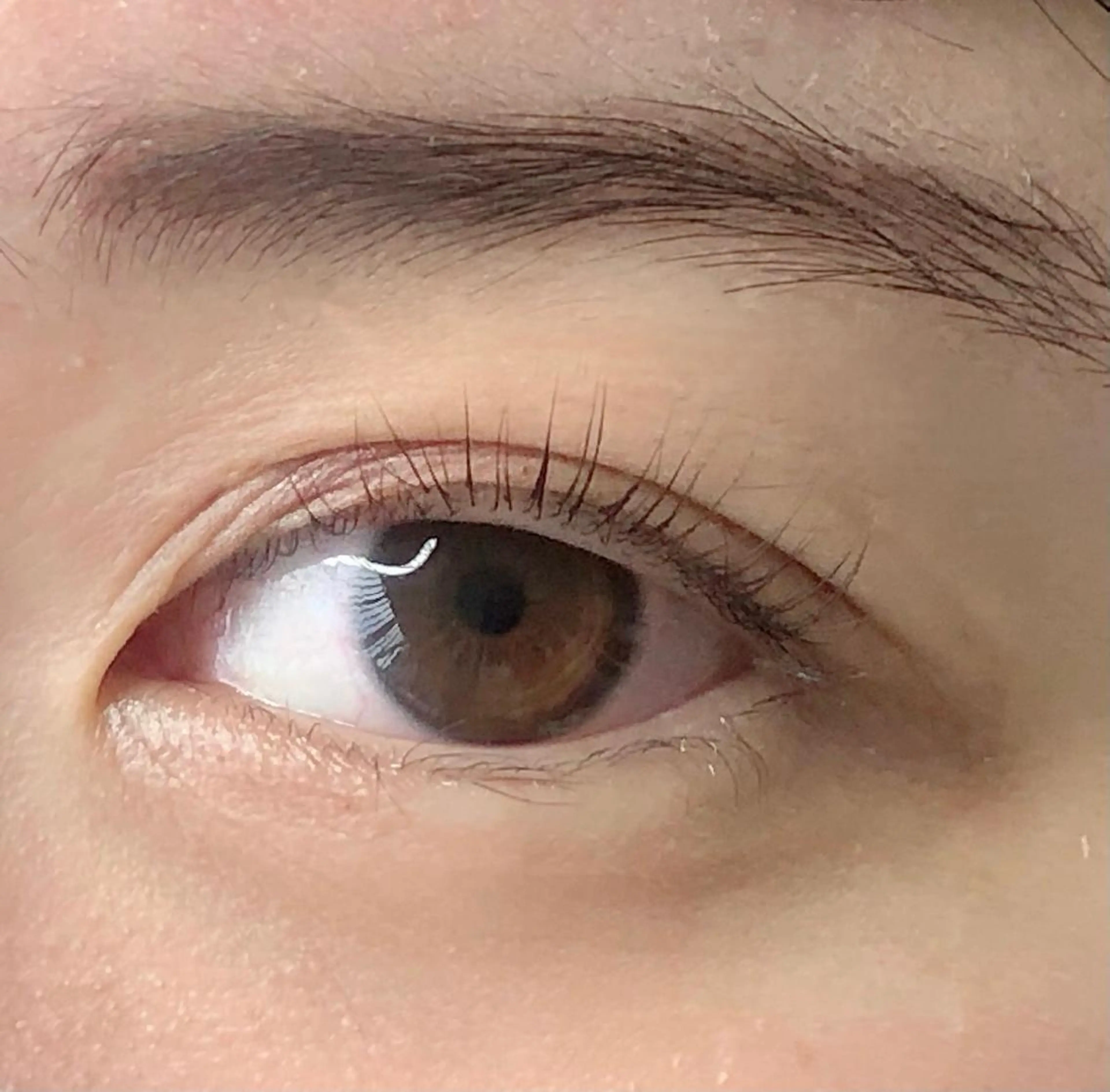 マツエク・マツパ パリジェンヌラッシュリフト terios. MATSUDAの眉毛・アイブロウイメージ