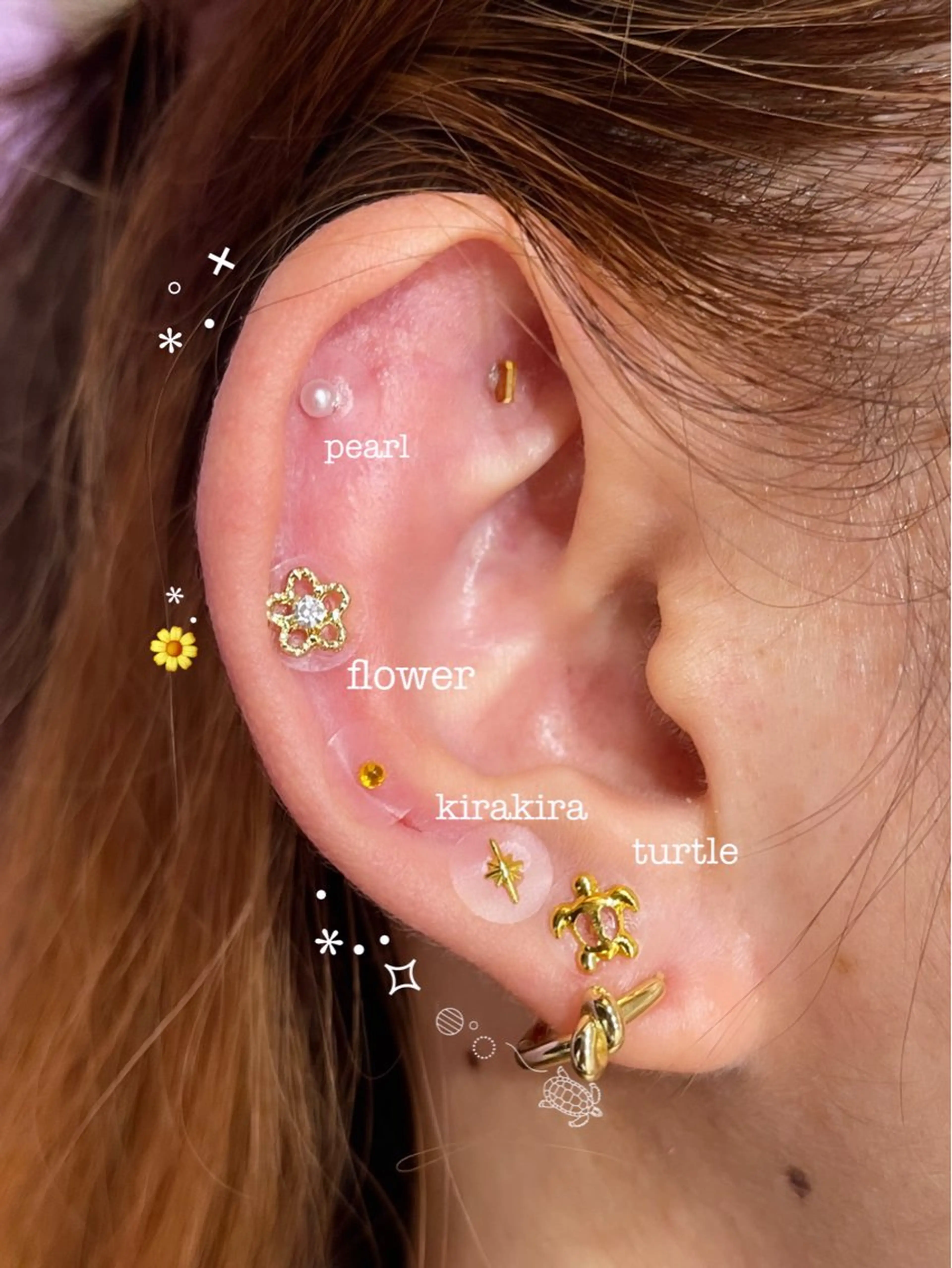 その他 VIVACE YUMEのその他イメージ