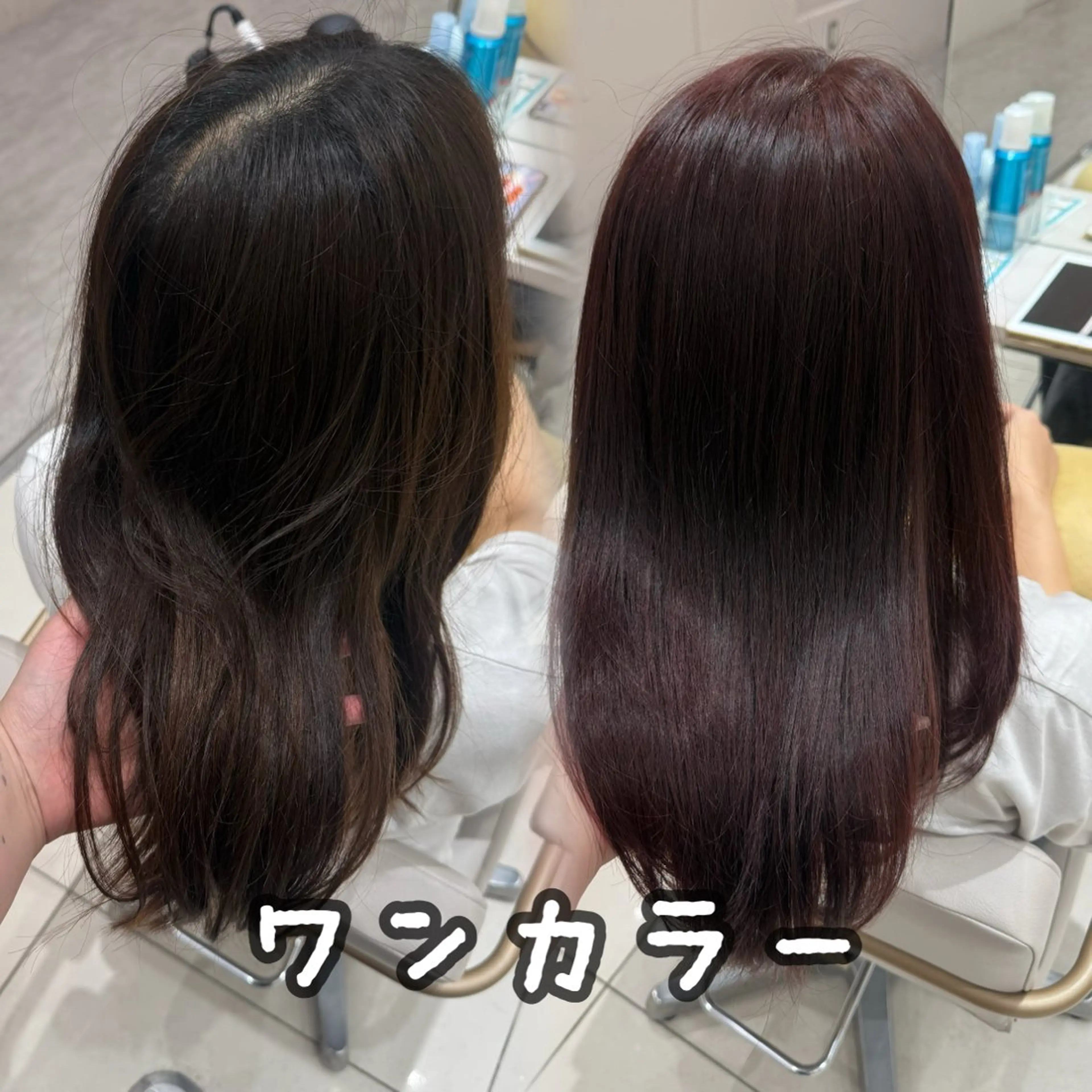セミロング カラー カット ヘアカラー トリートメント 内田 志乃のヘアスタイル