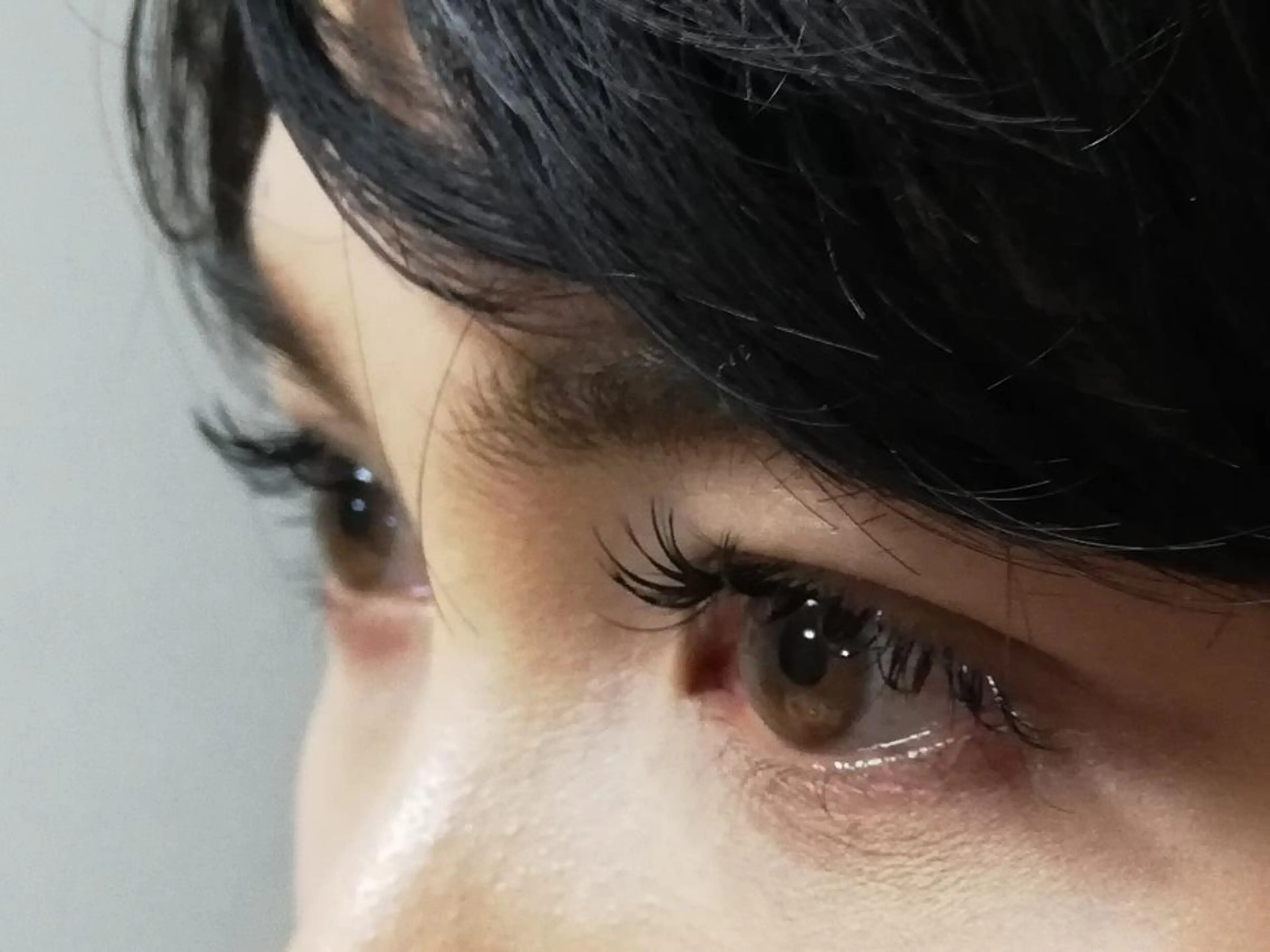 マツエク・マツパ キュート セーブル 完全個室サロン🌹 angelux🌹のマツエク・マツパデザイン