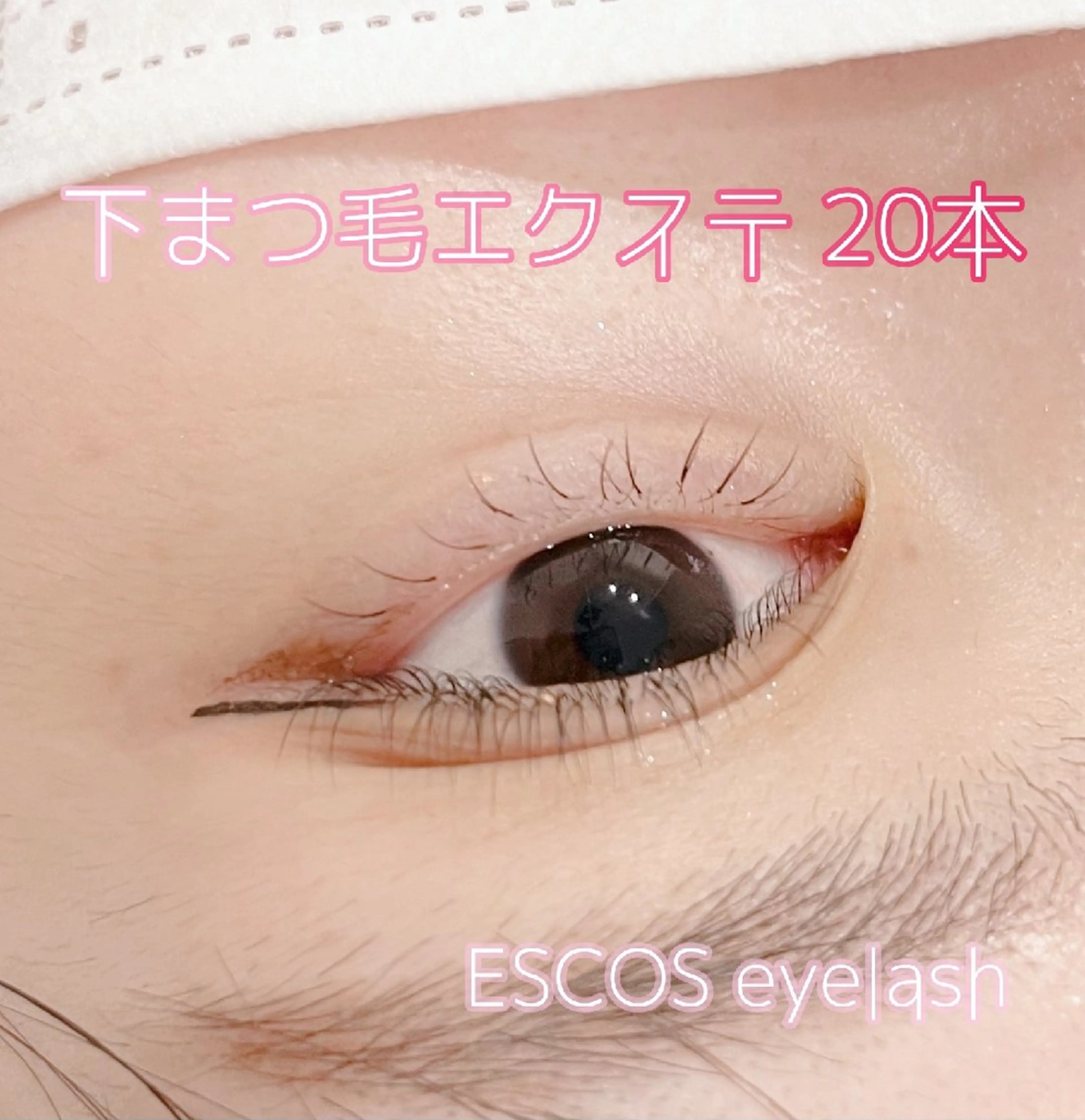 【下まつ毛エクステ】30本まで→3,300円の写真