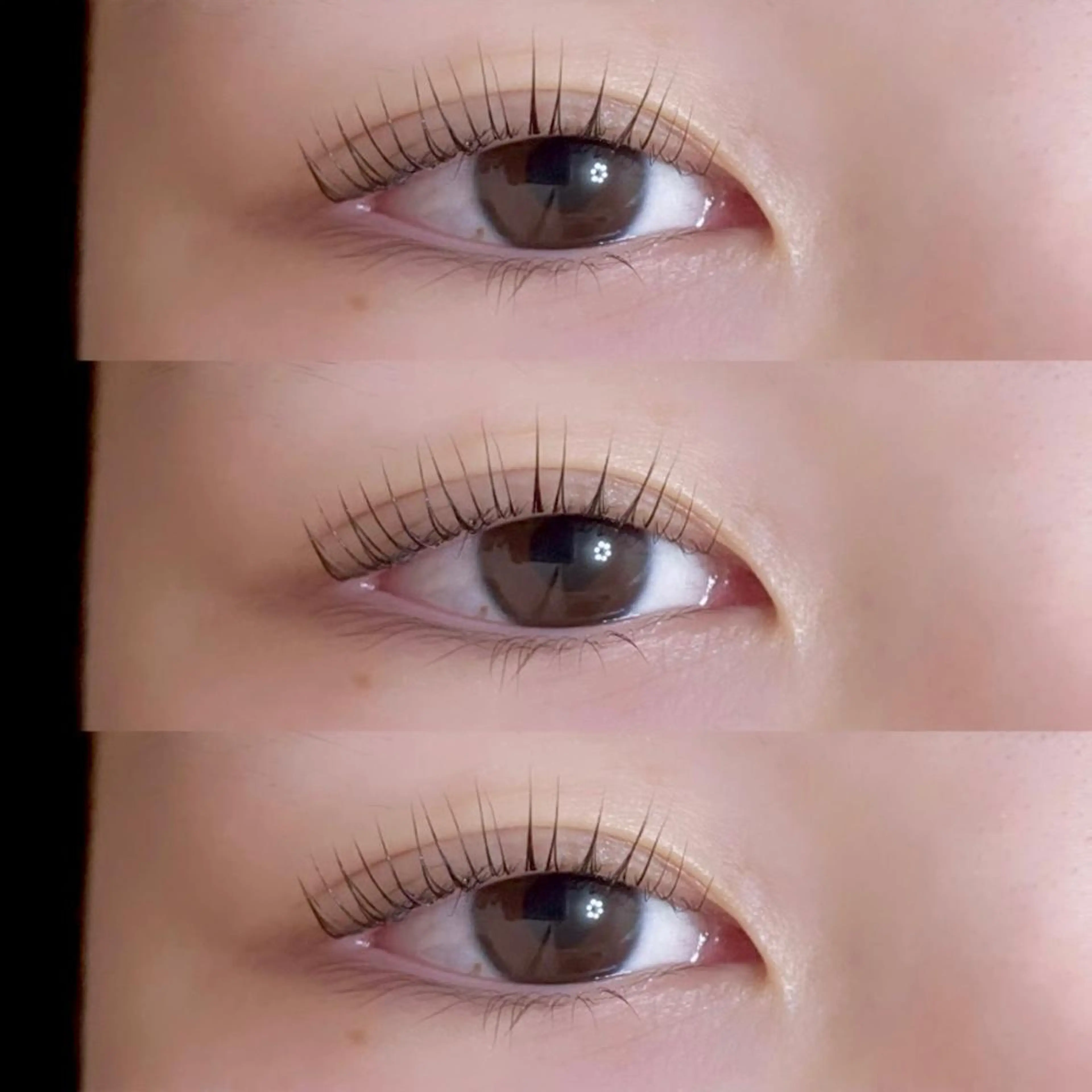 マツエク・マツパ パリジェンヌラッシュリフト マツパ 24 -niji-のマツエク・マツパデザイン